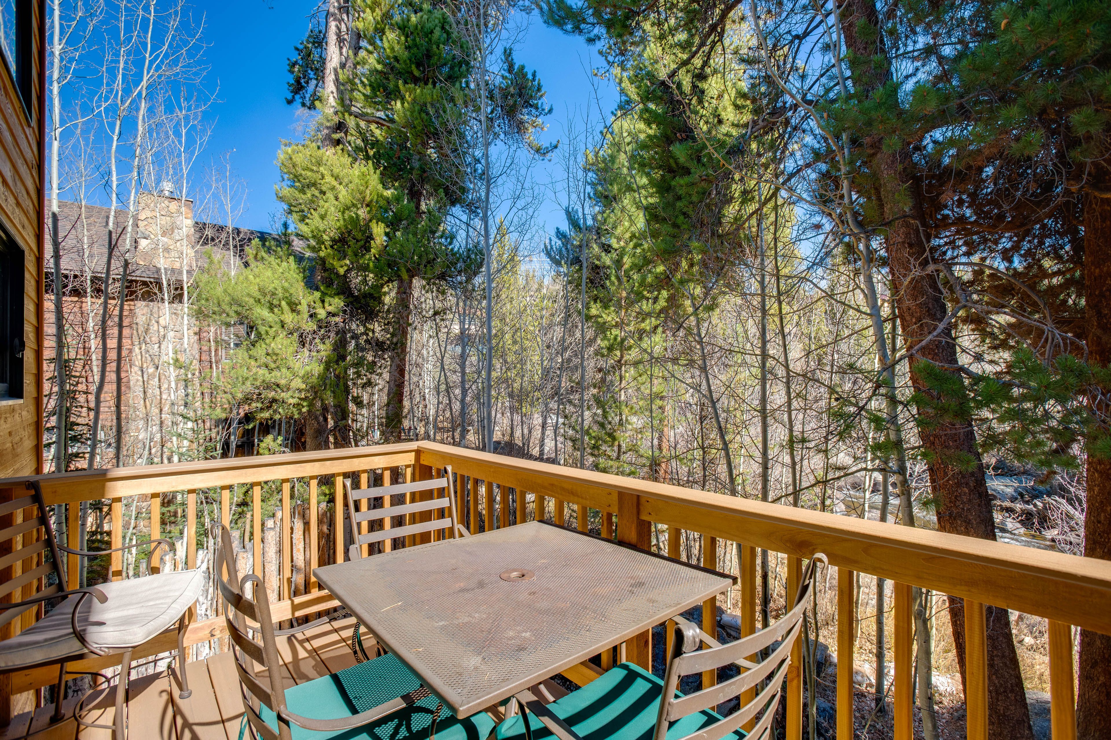 Balcony | Forest Views