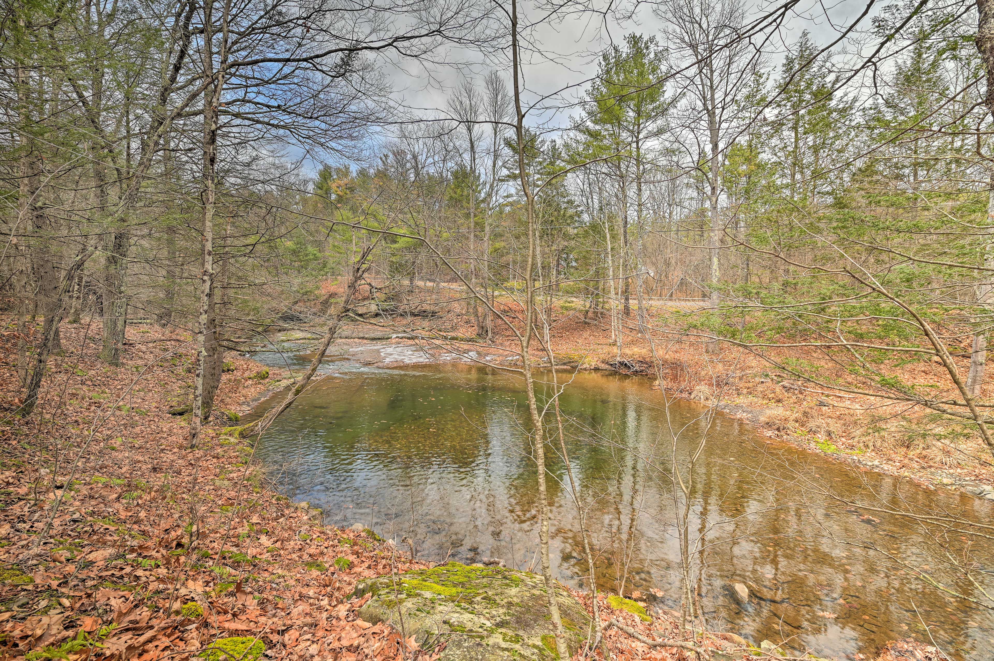 Image 35