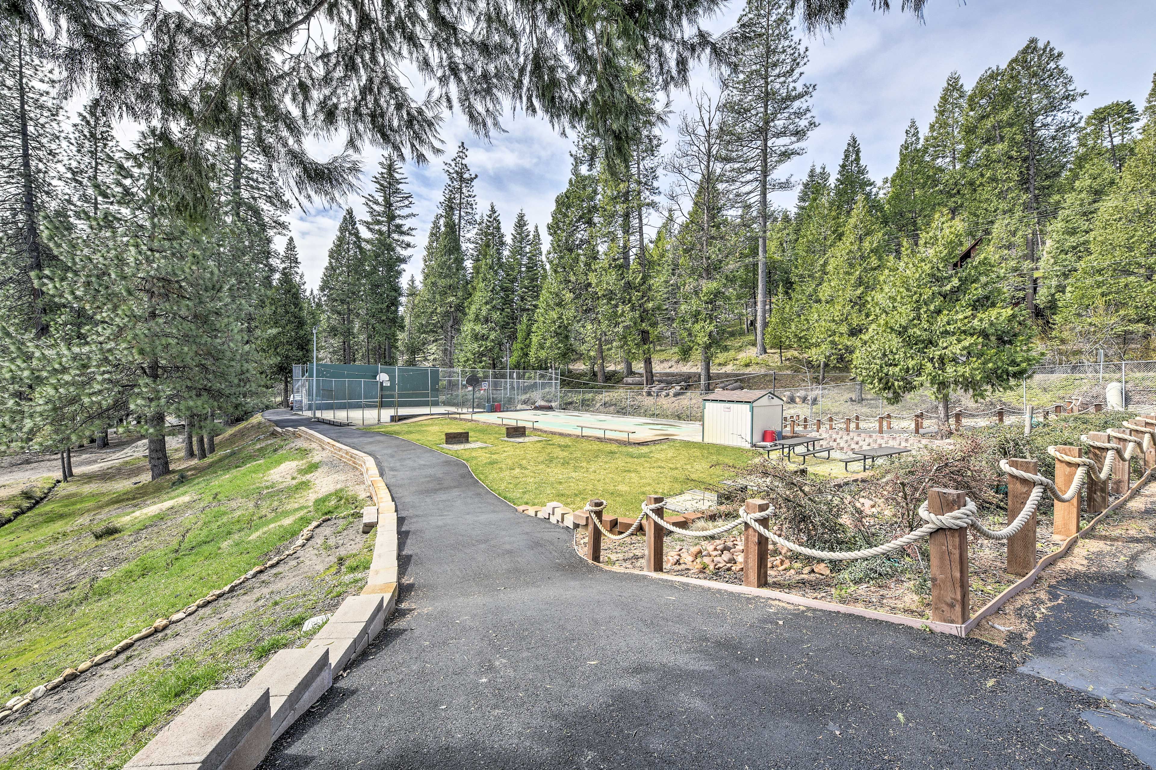 Community Area & Basketball Courts