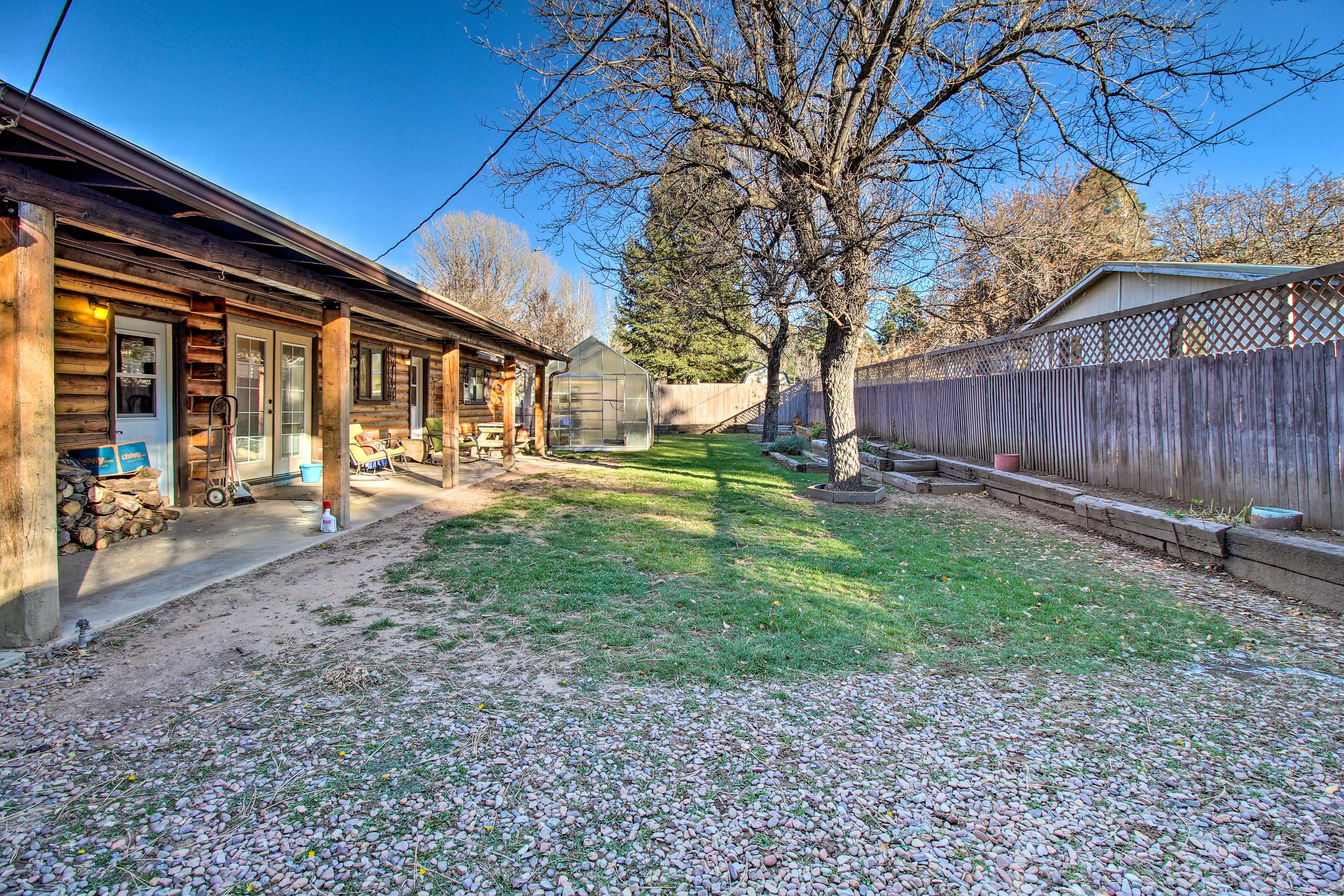 Backyard