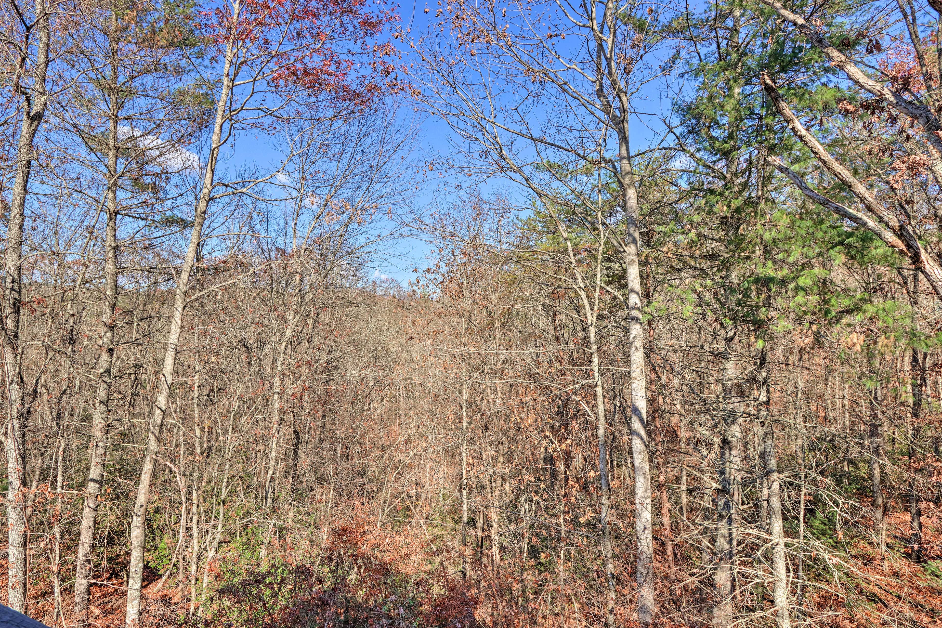 Cottage Exterior | Deck View