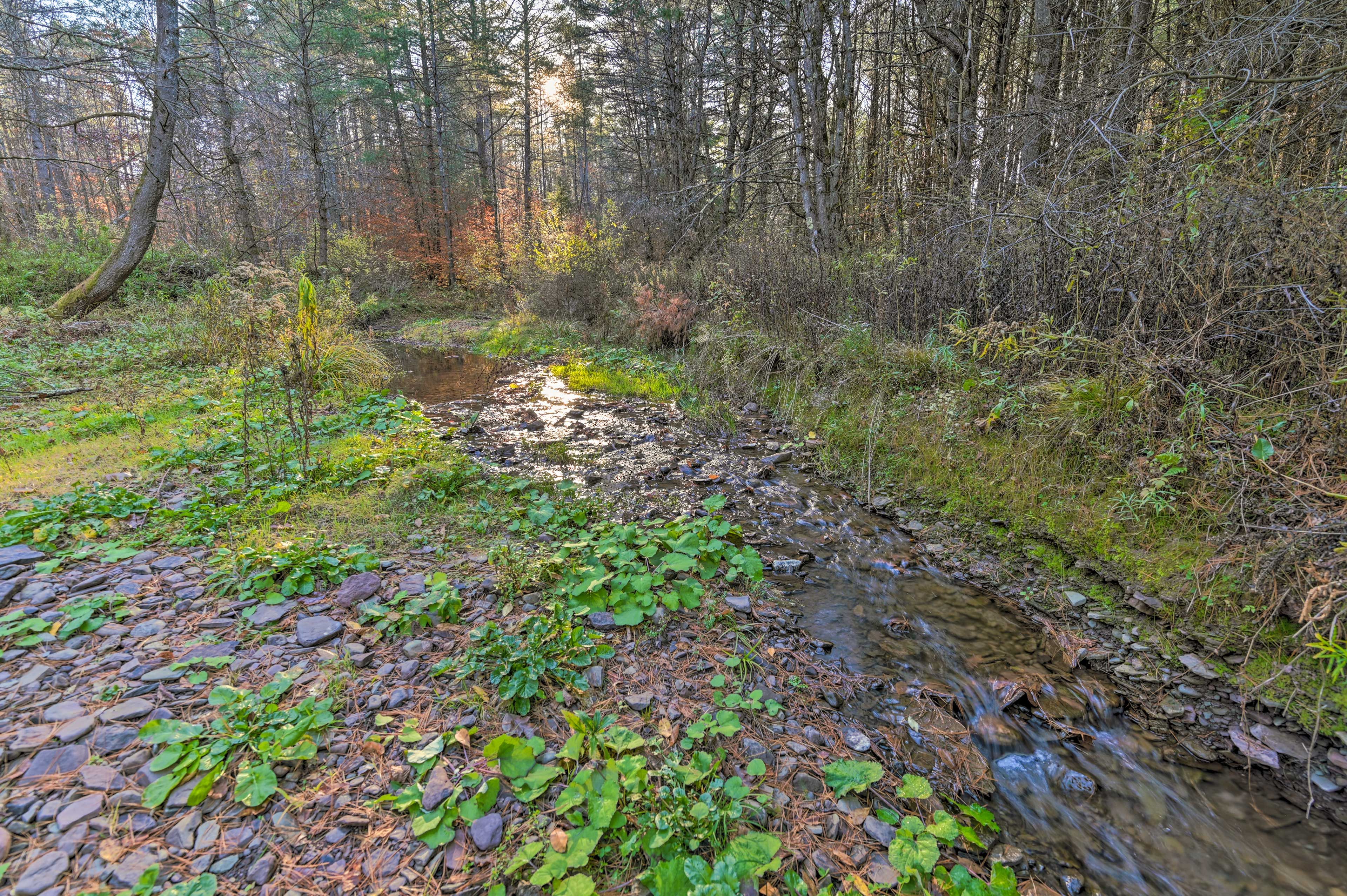 Image 37