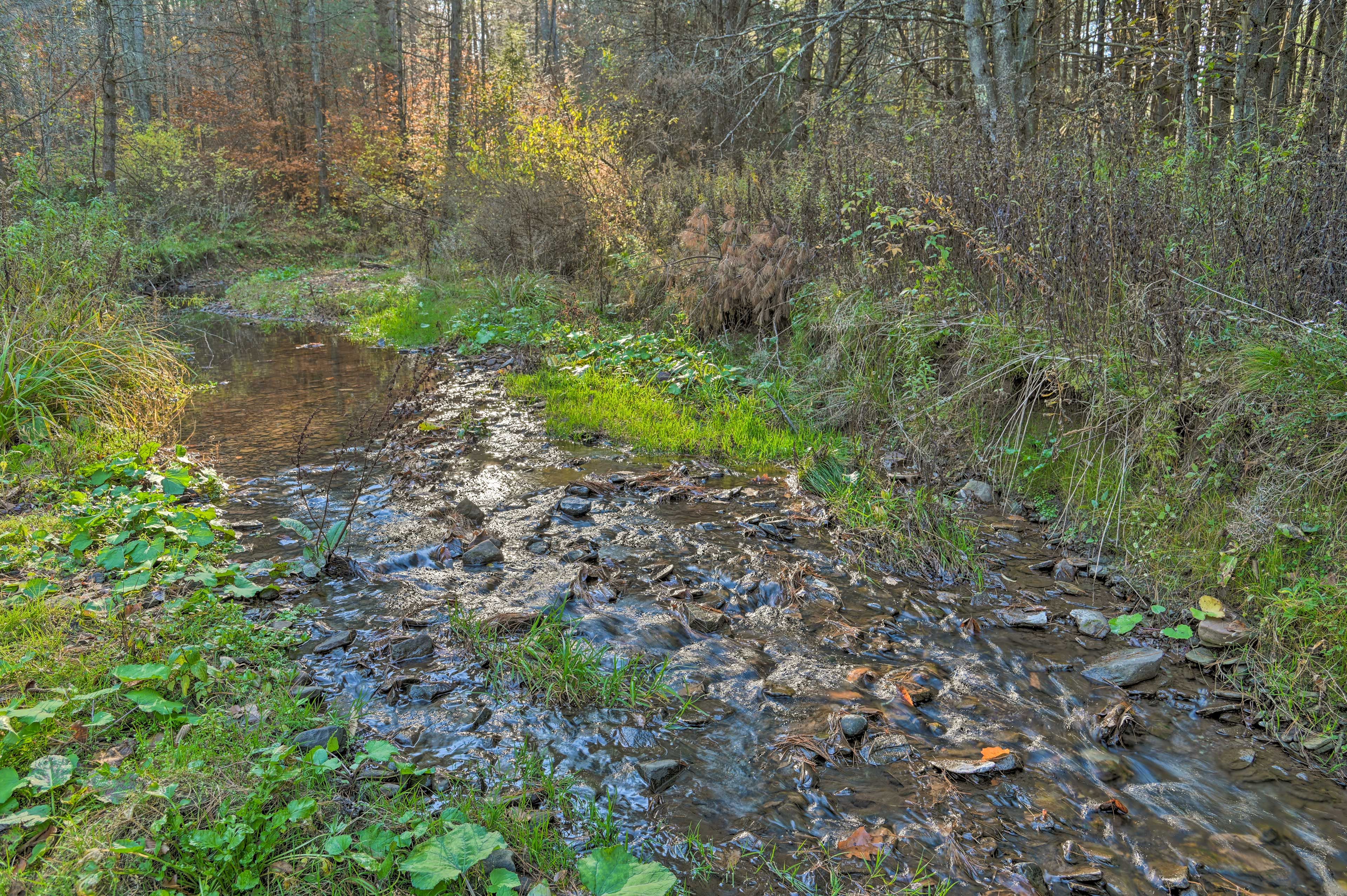 Creek On-Site