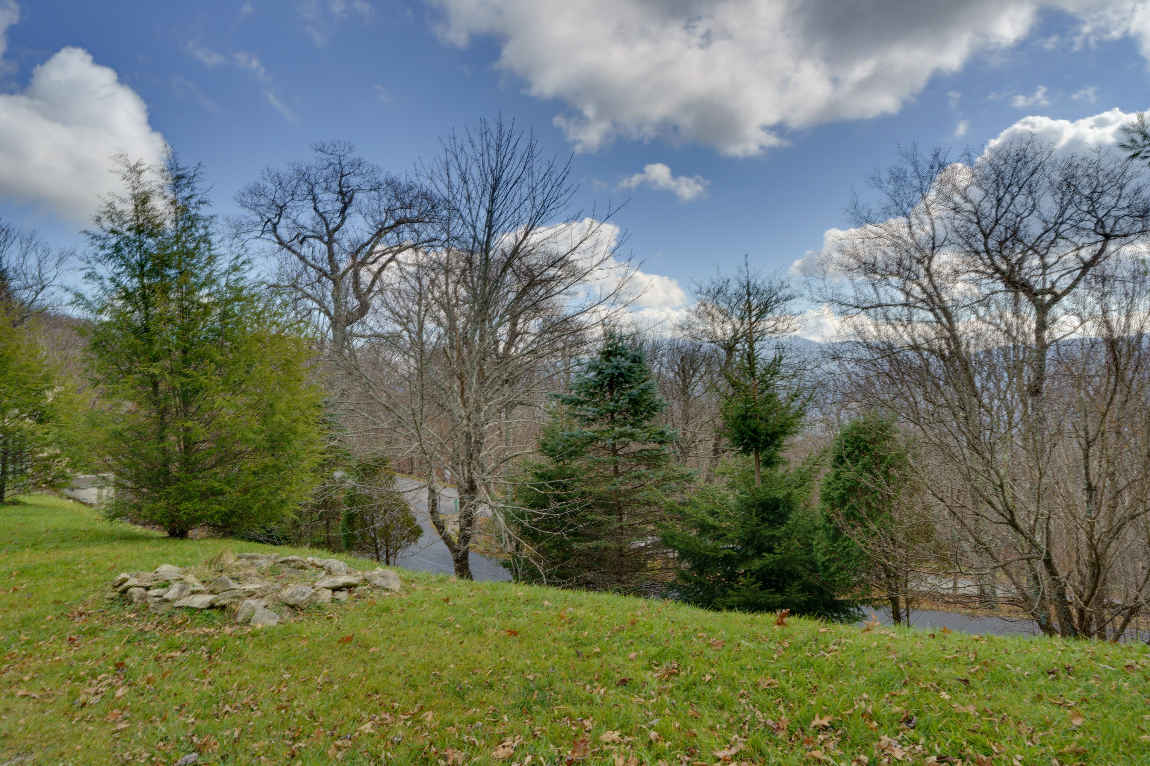 Yard Area