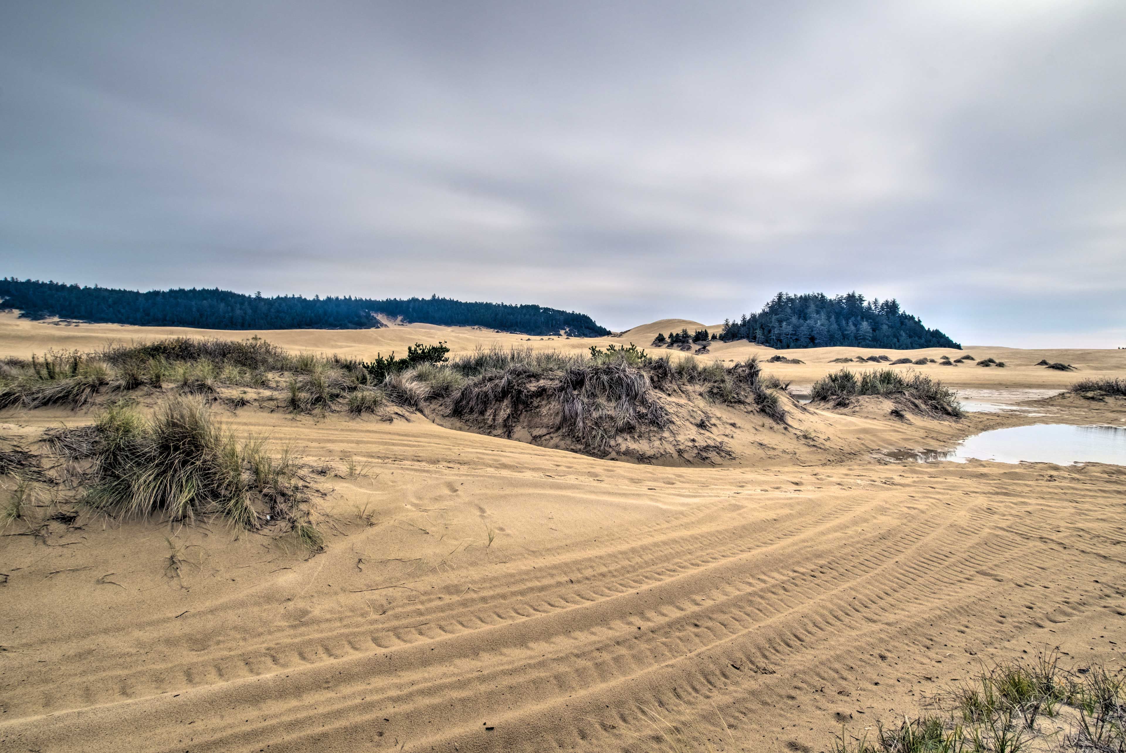 Nearby Dunes