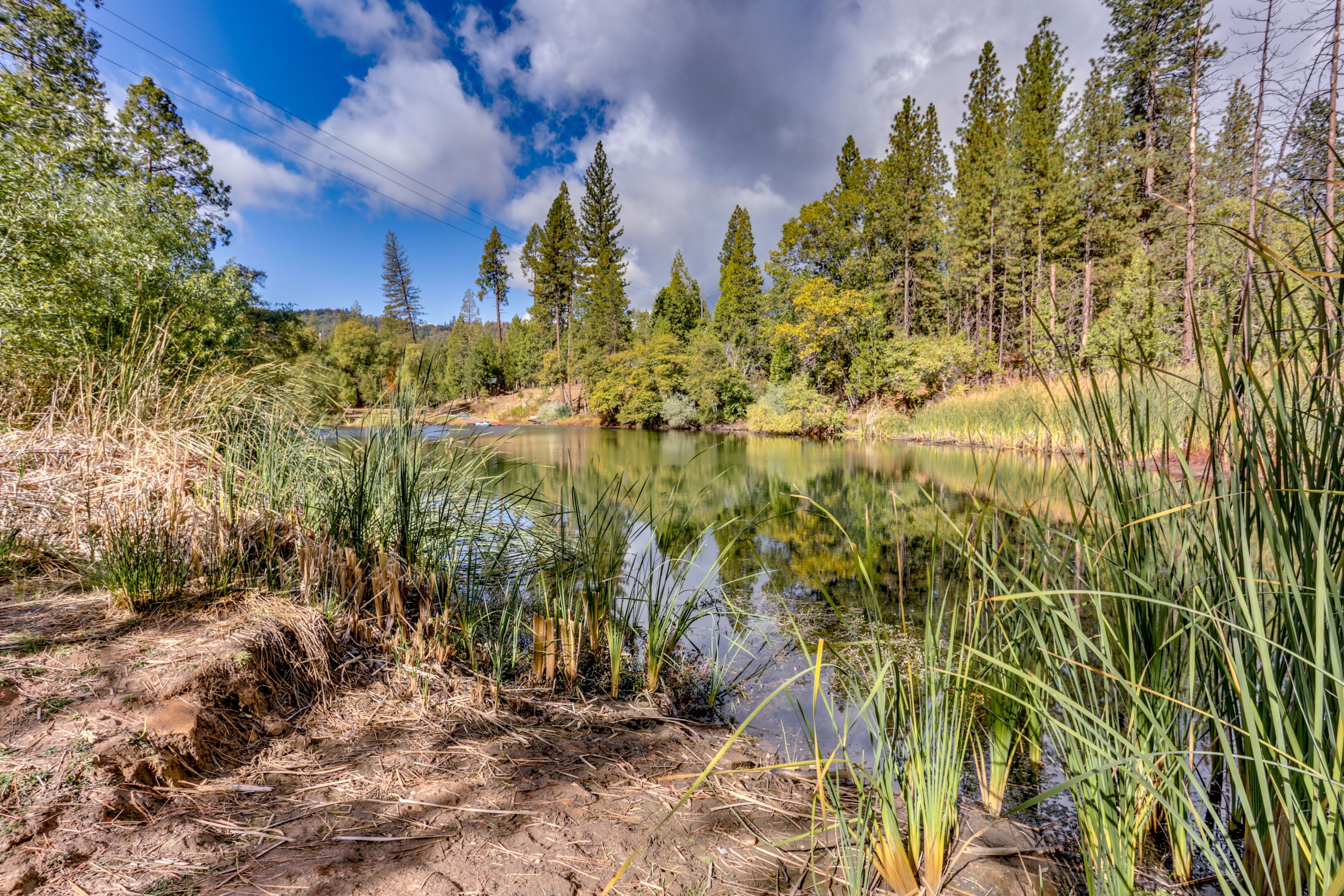 On-Site Pond