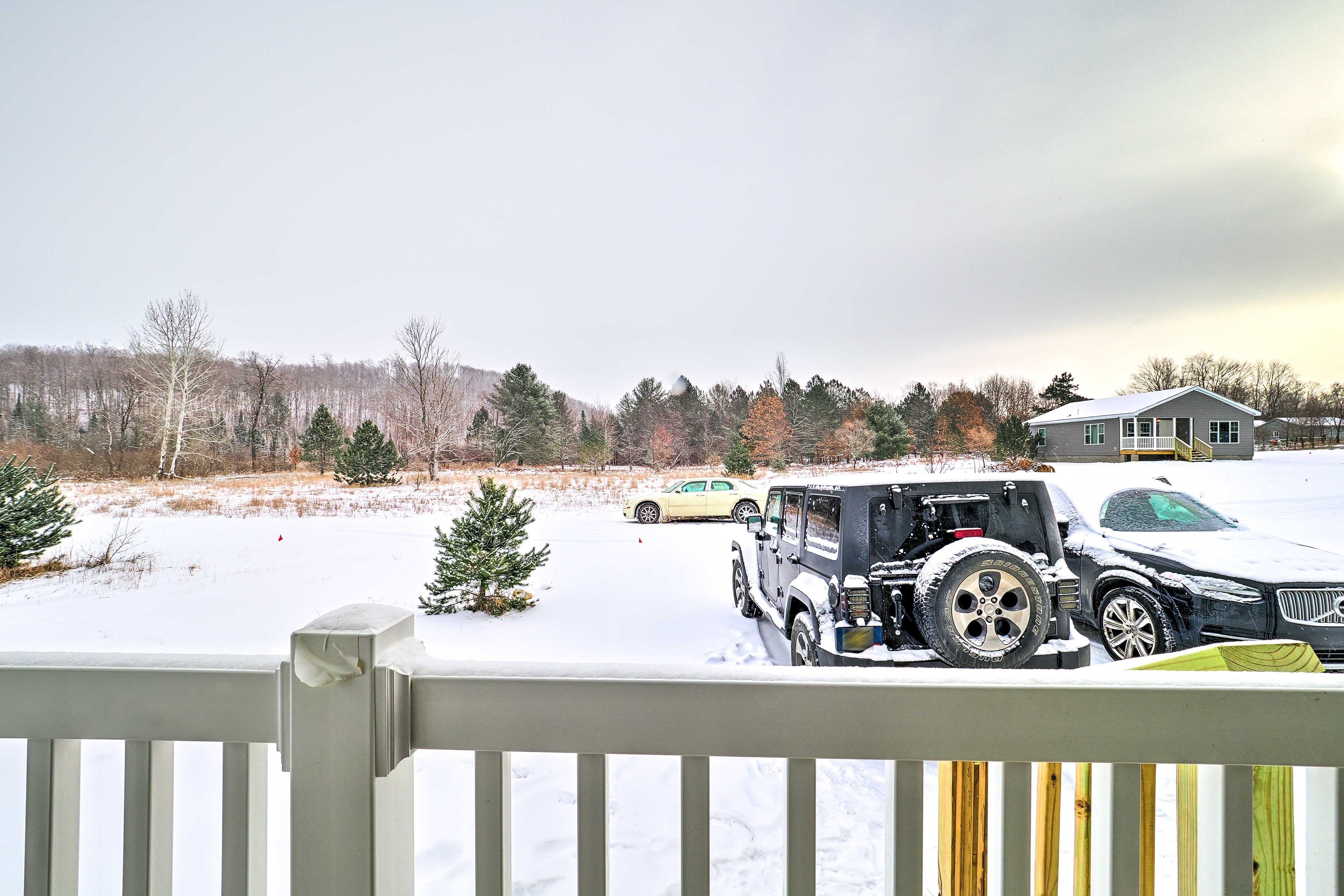 Winter Views