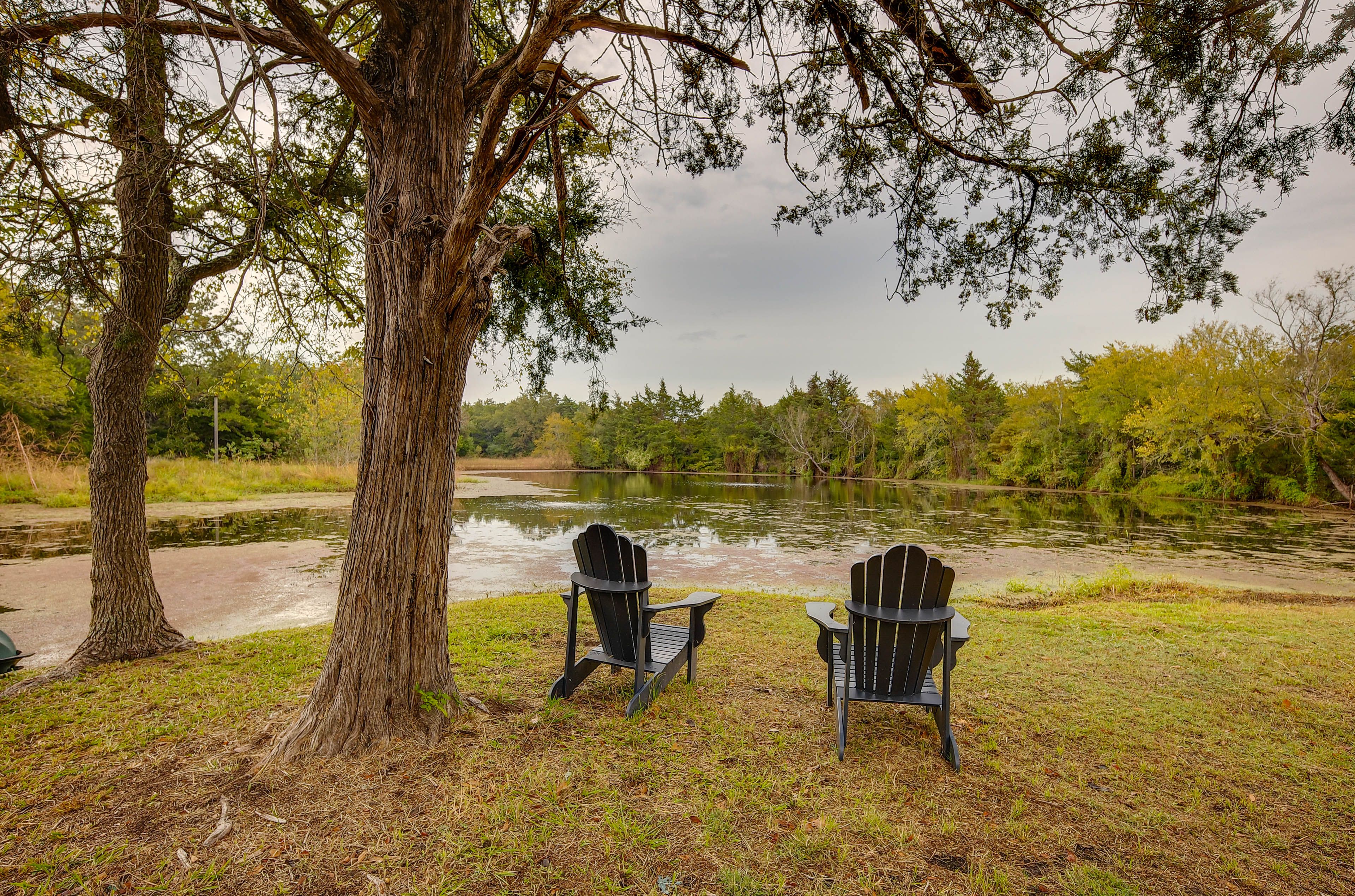 Catch-and-Release Pond | Pet Fee | Free WiFi | 5 Exterior Security Cameras