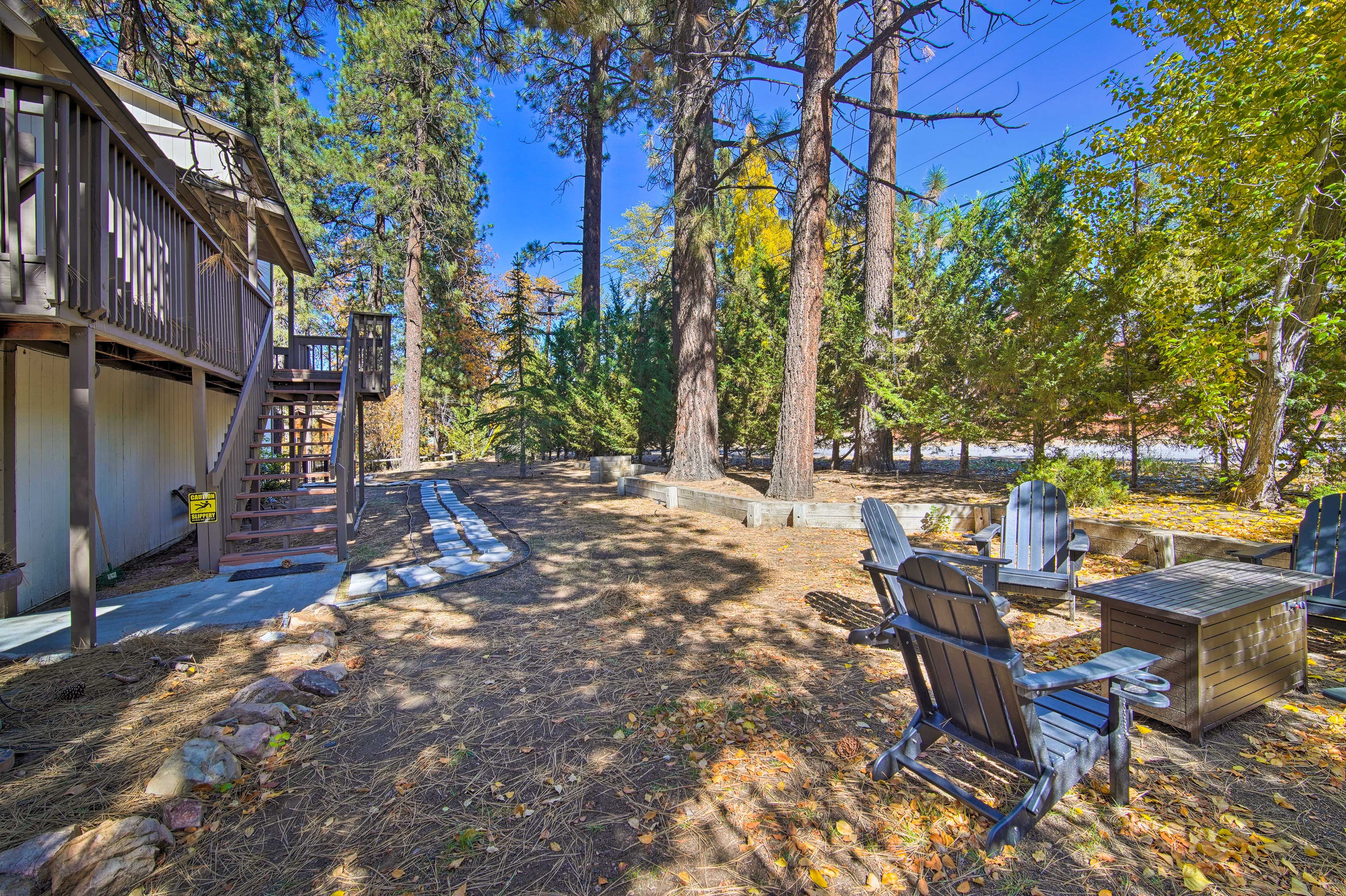Private Backyard