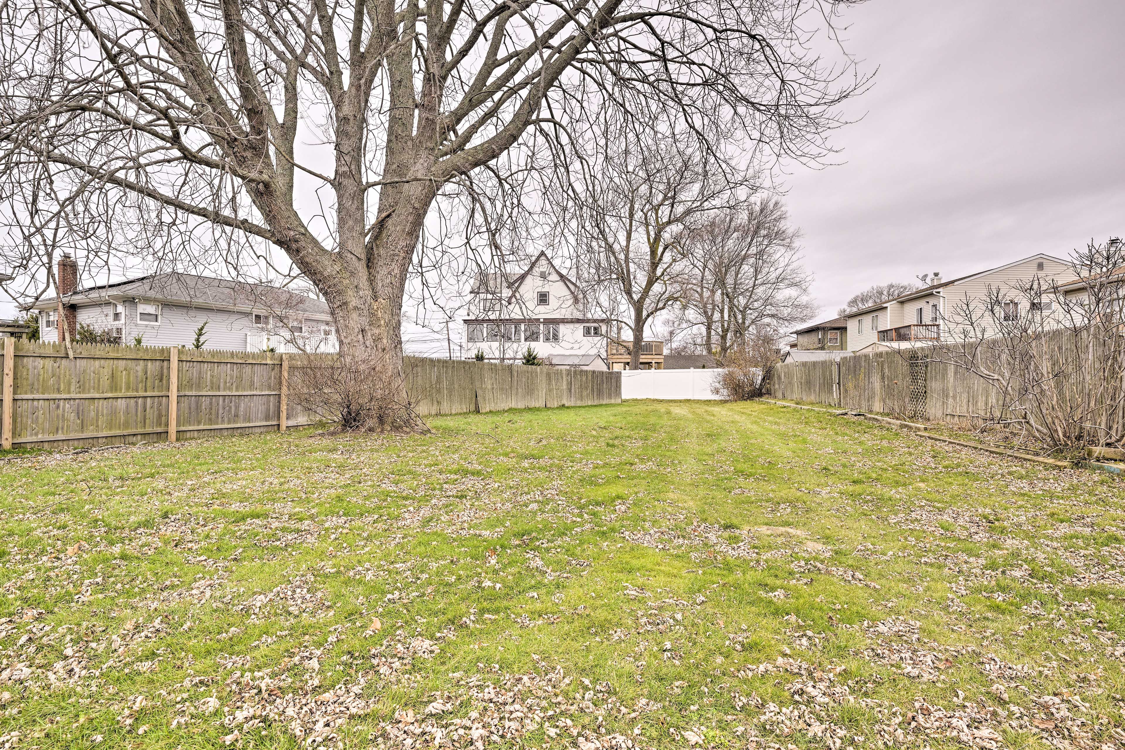 Shared Backyard