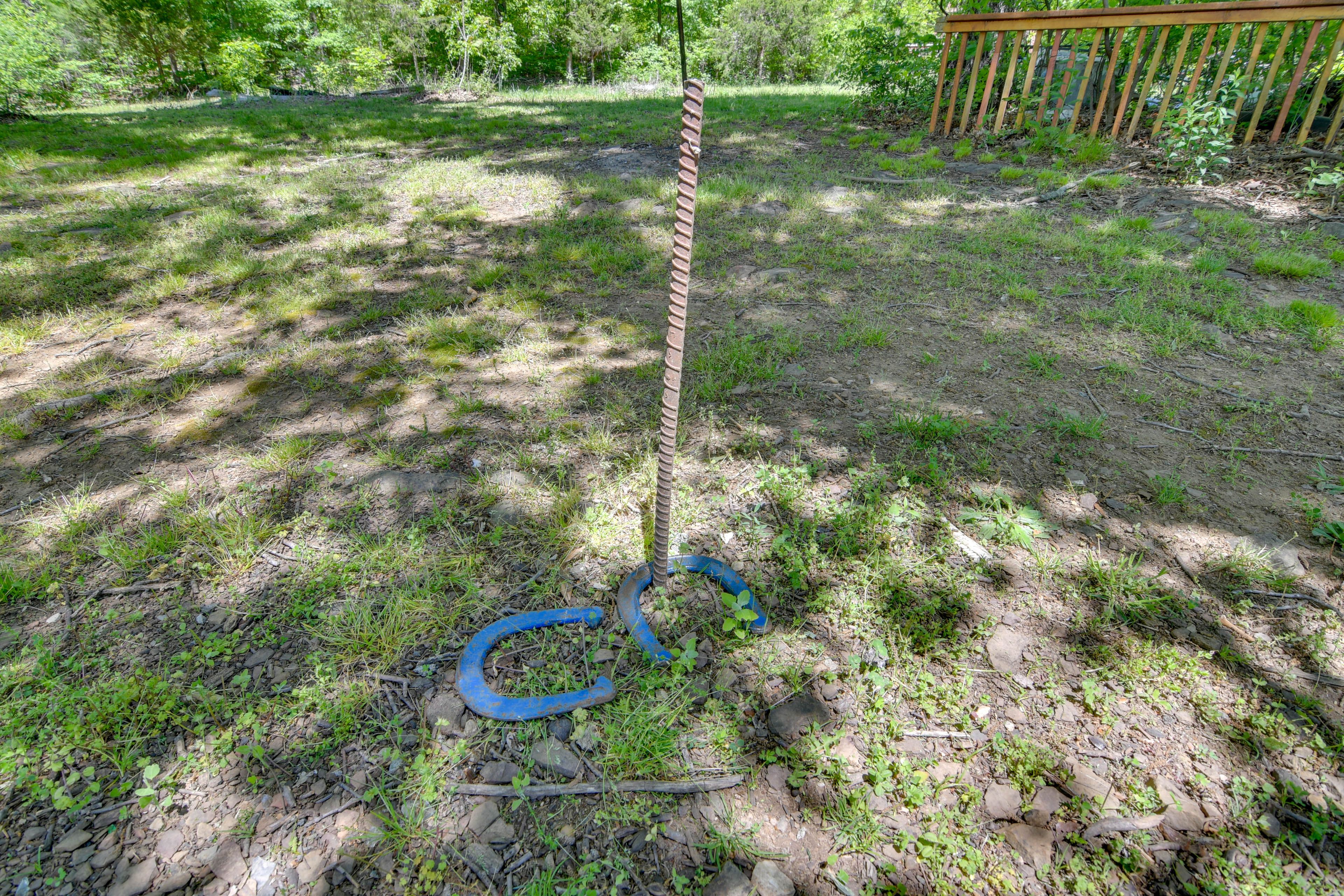Image 21