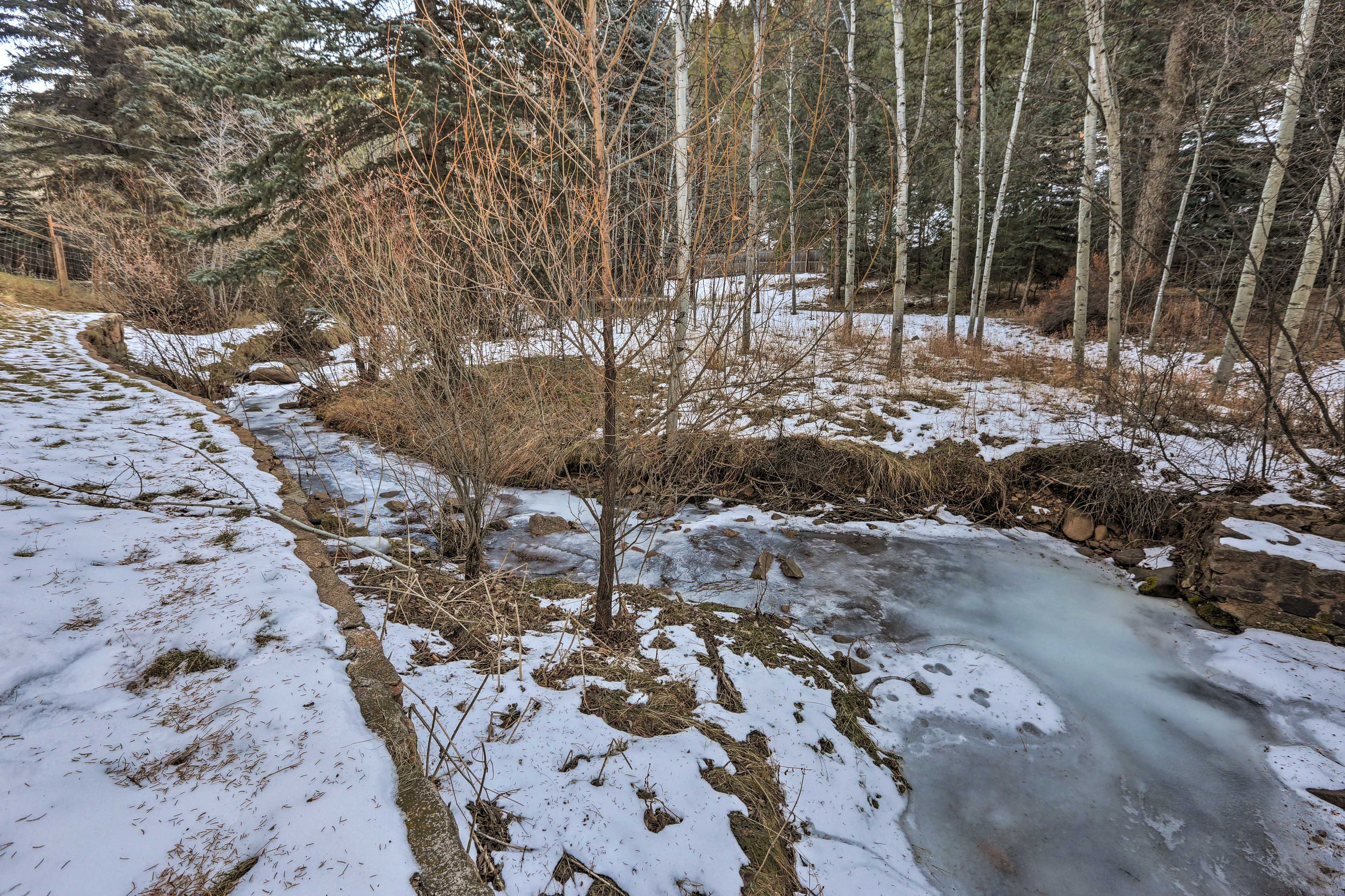 Image 37