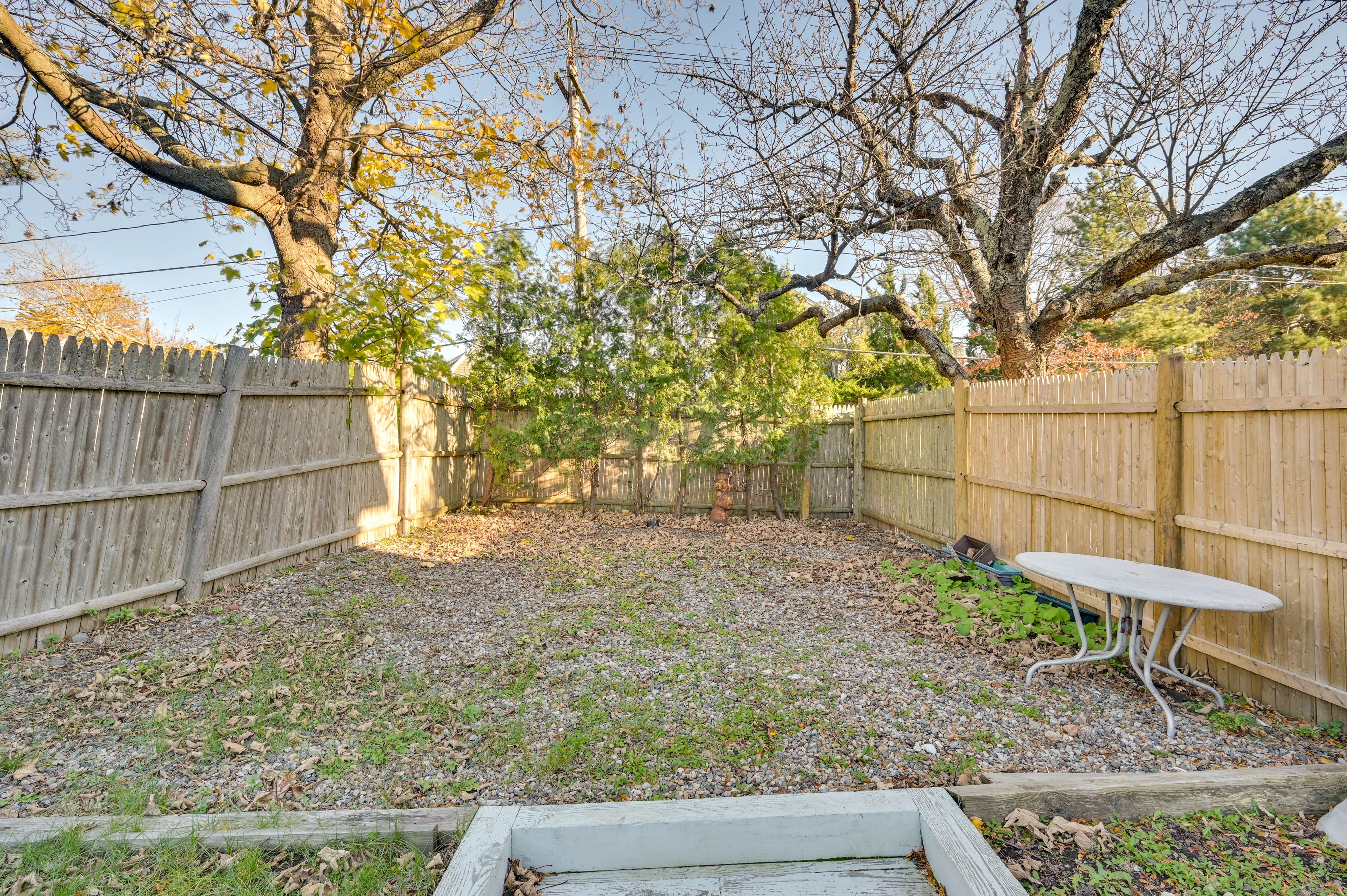 Backyard