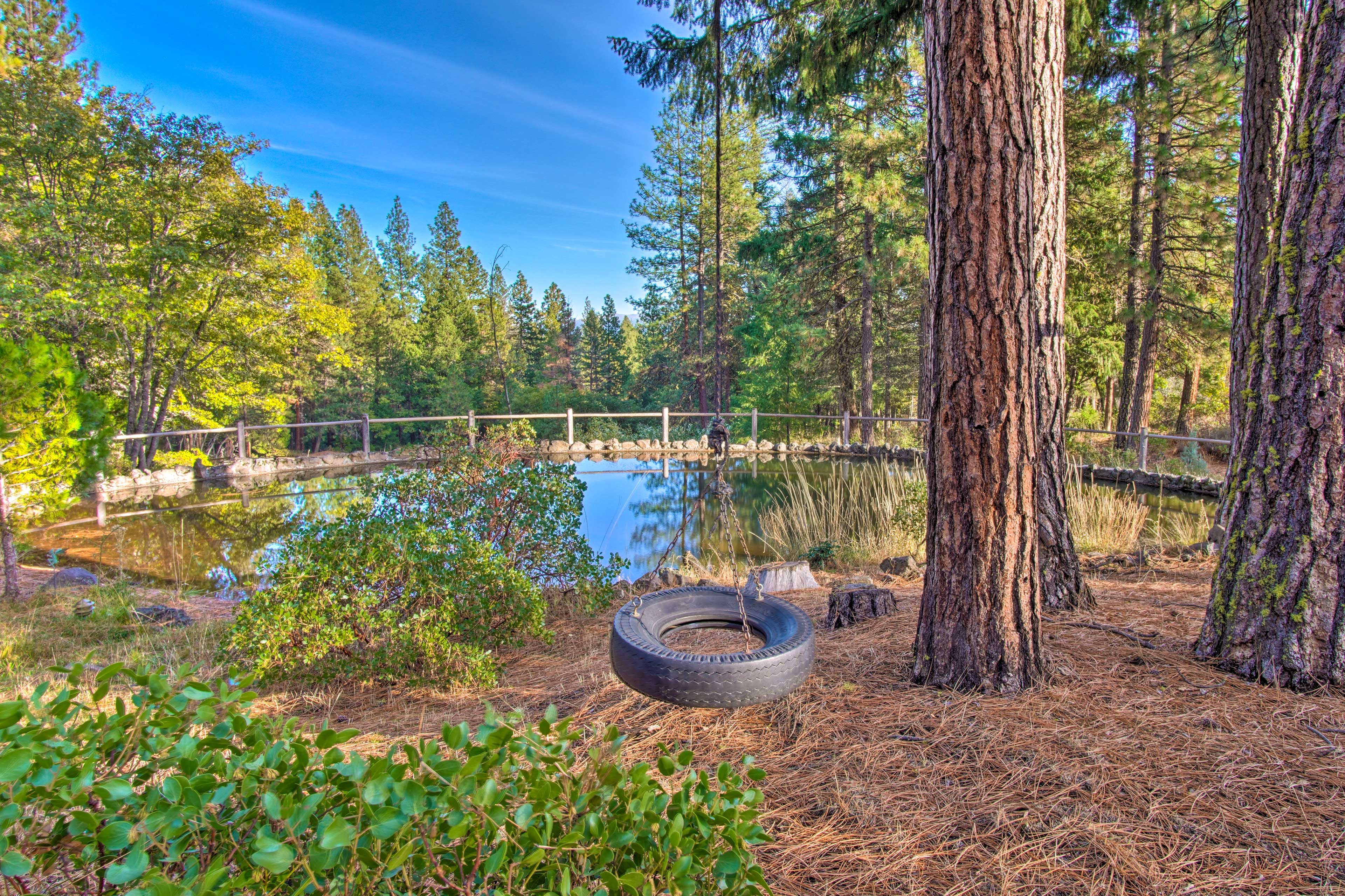Wooded Yard | On-Site Pond