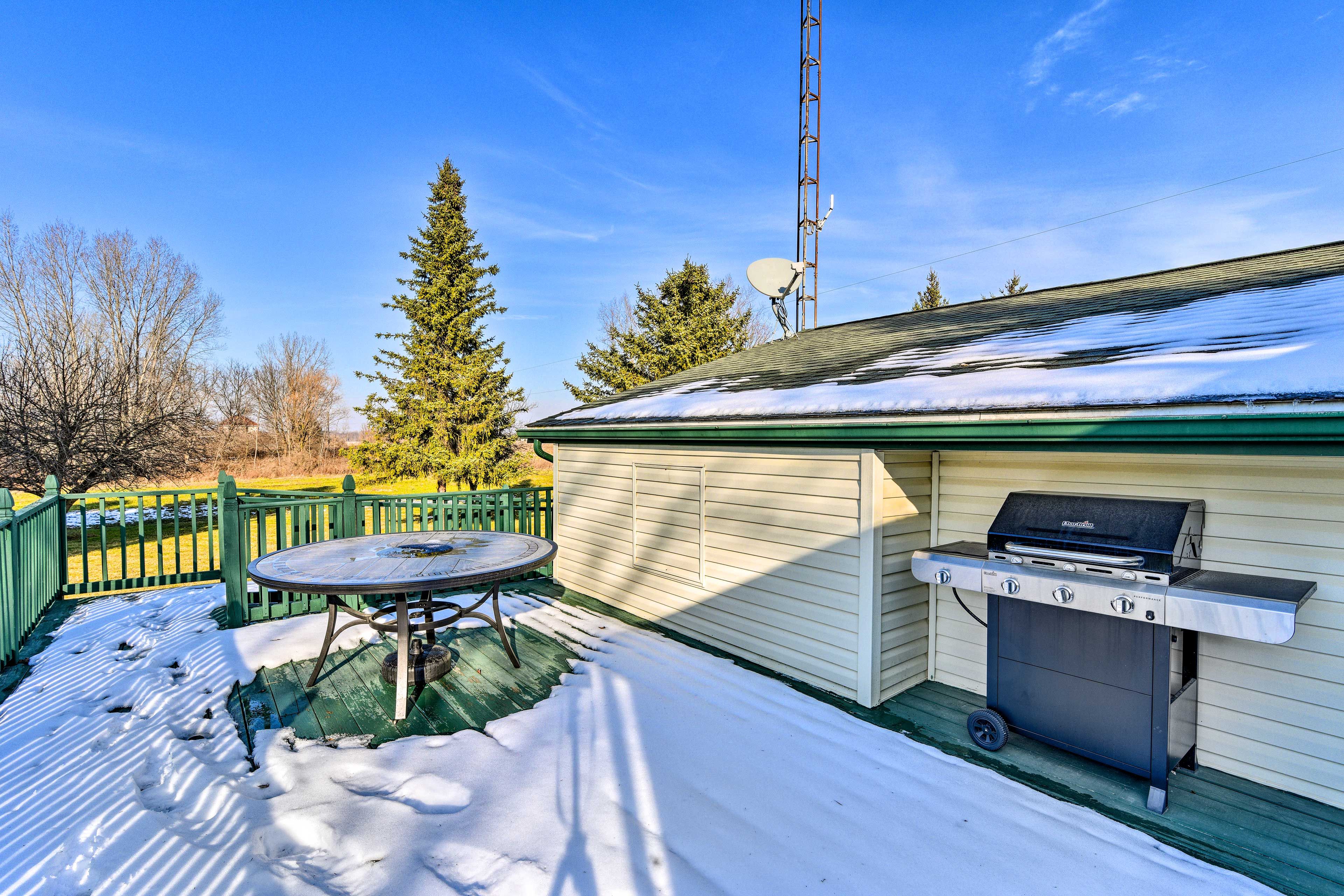 Deck | Gas Grill