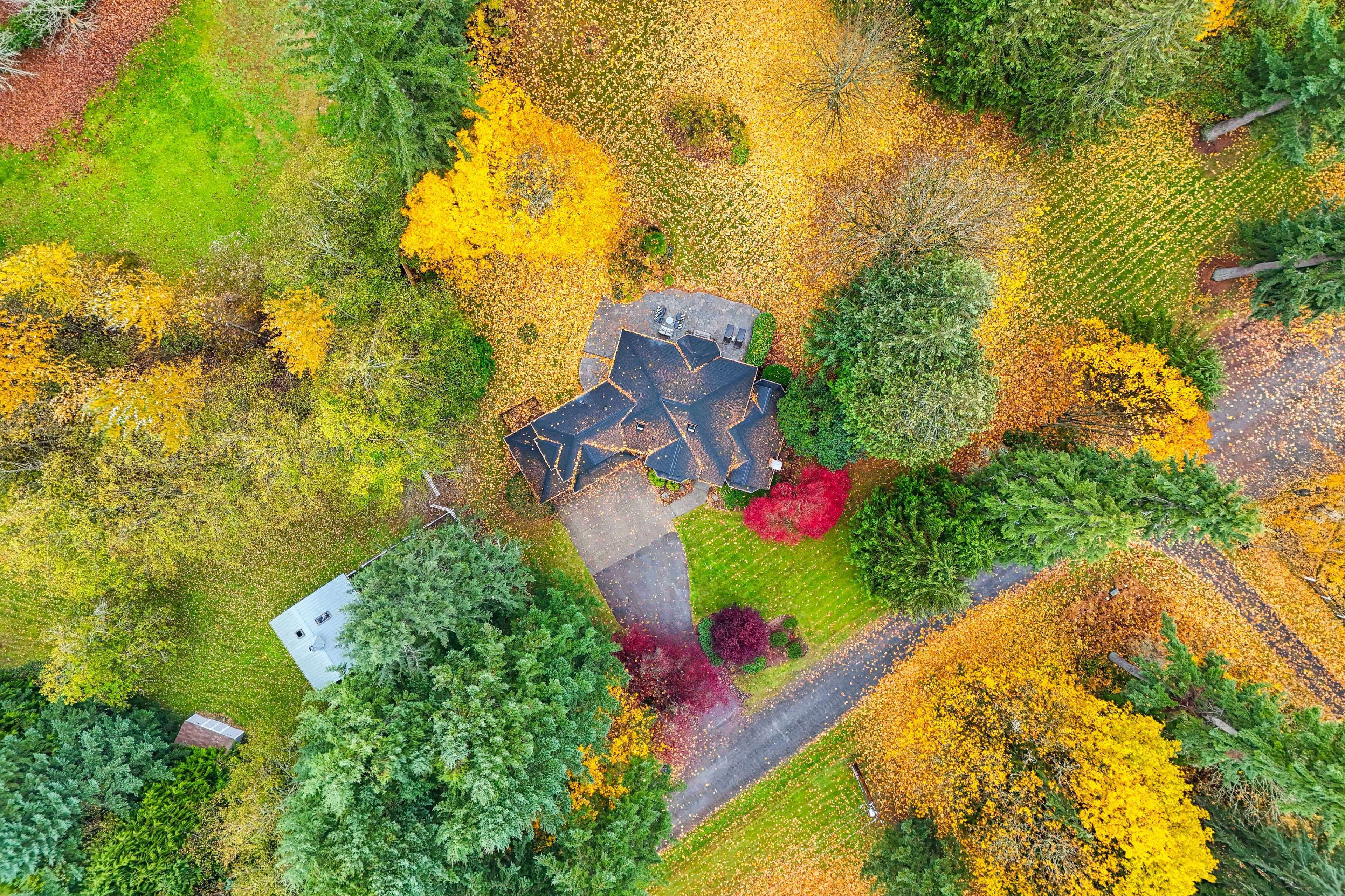 Aerial Views