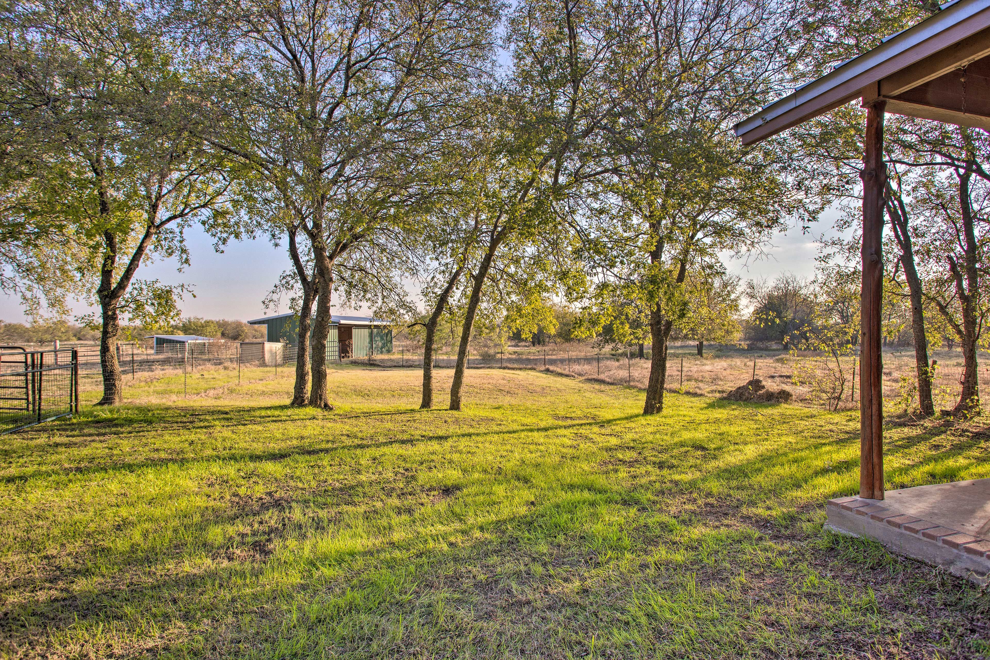Yard Area