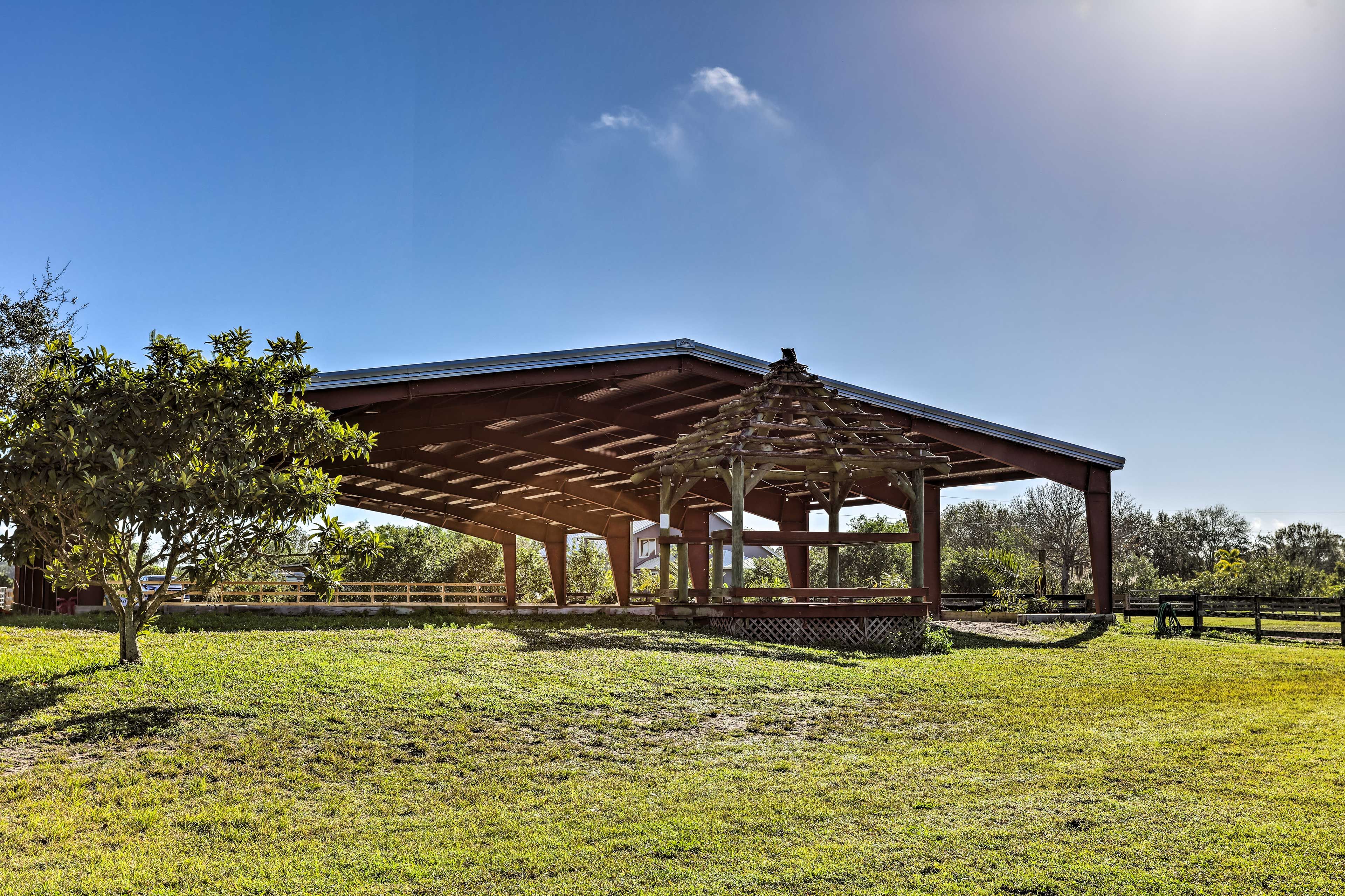 Horse Training Area