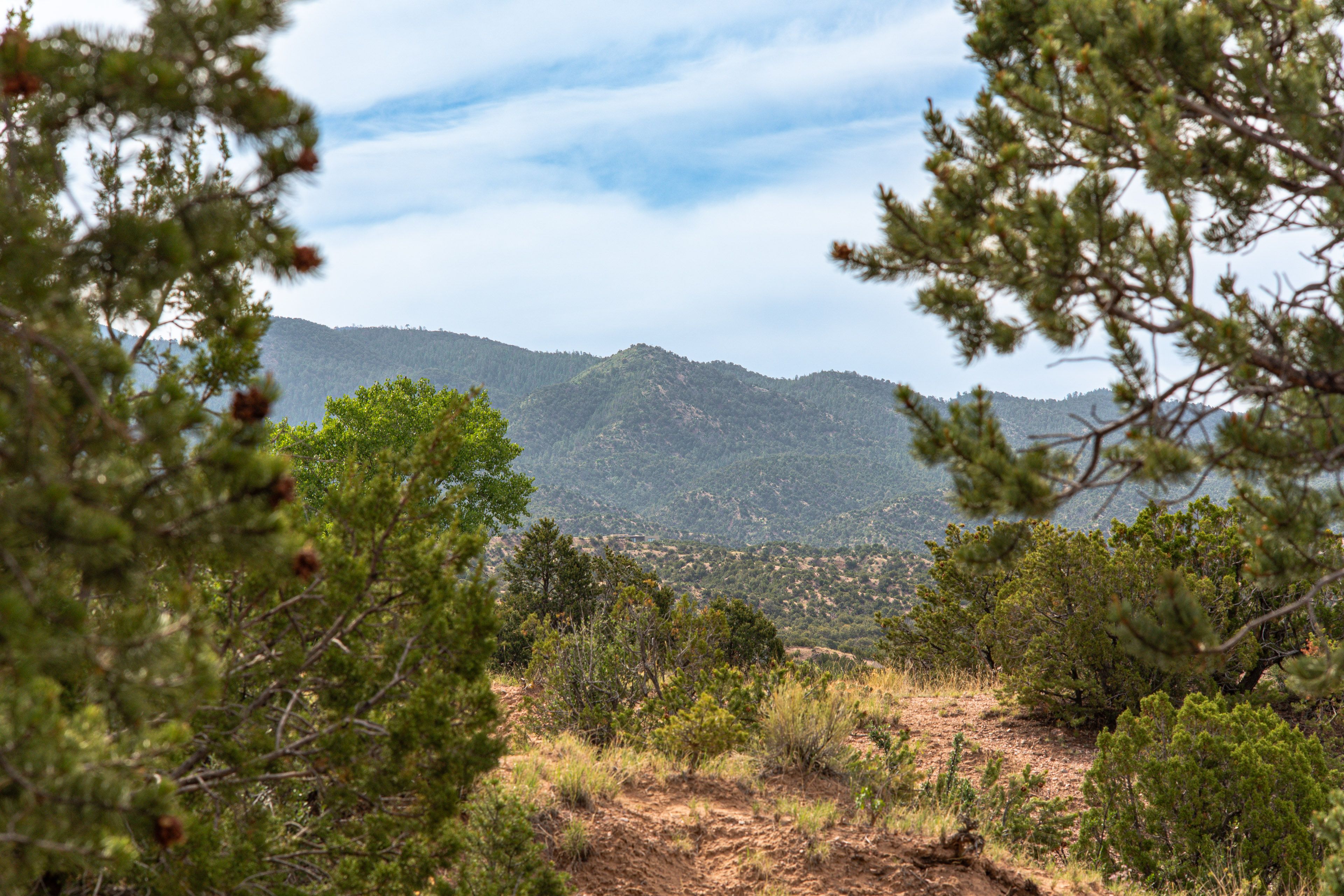 Mountain Views