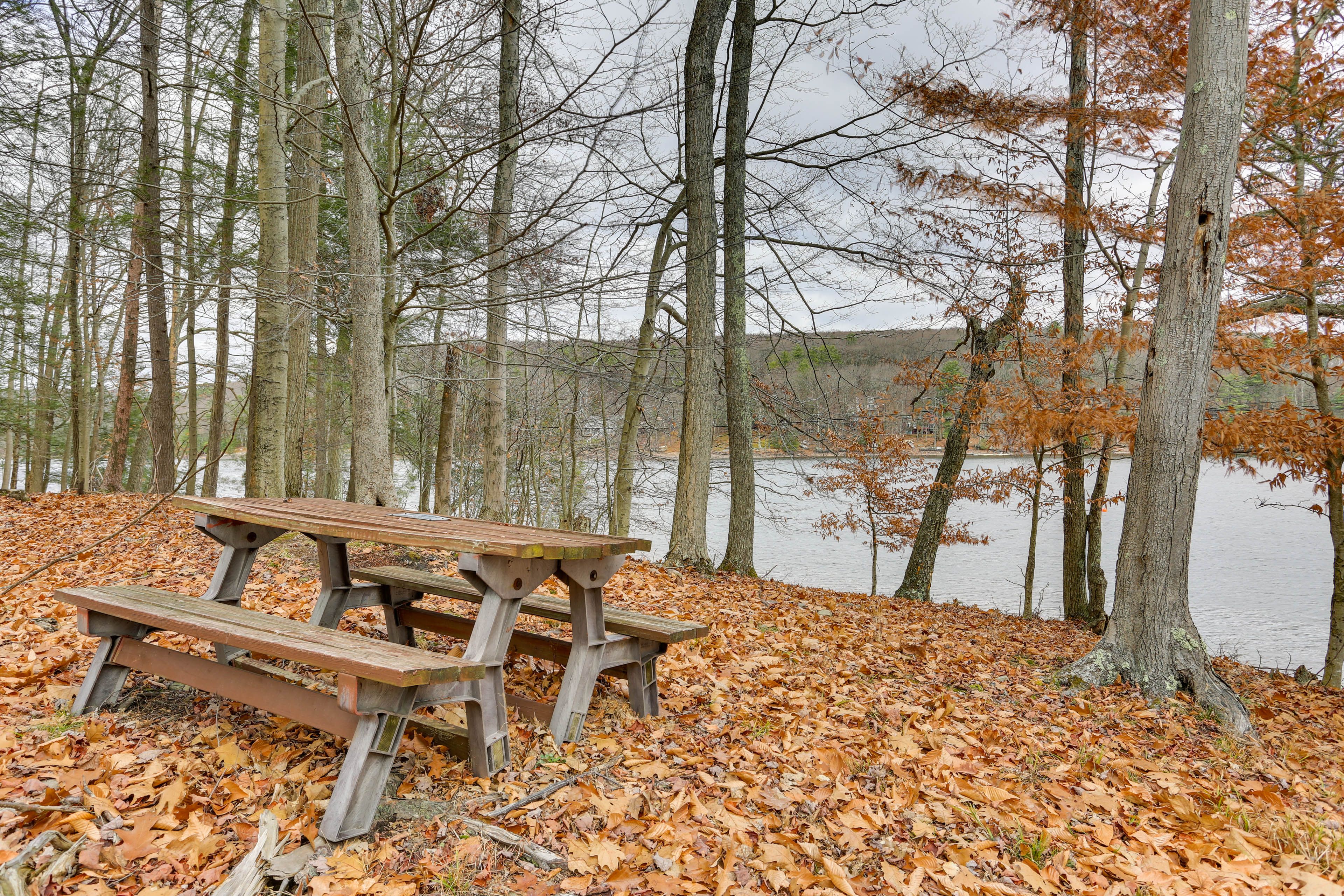 Lake Wallenpaupack Picnic Area