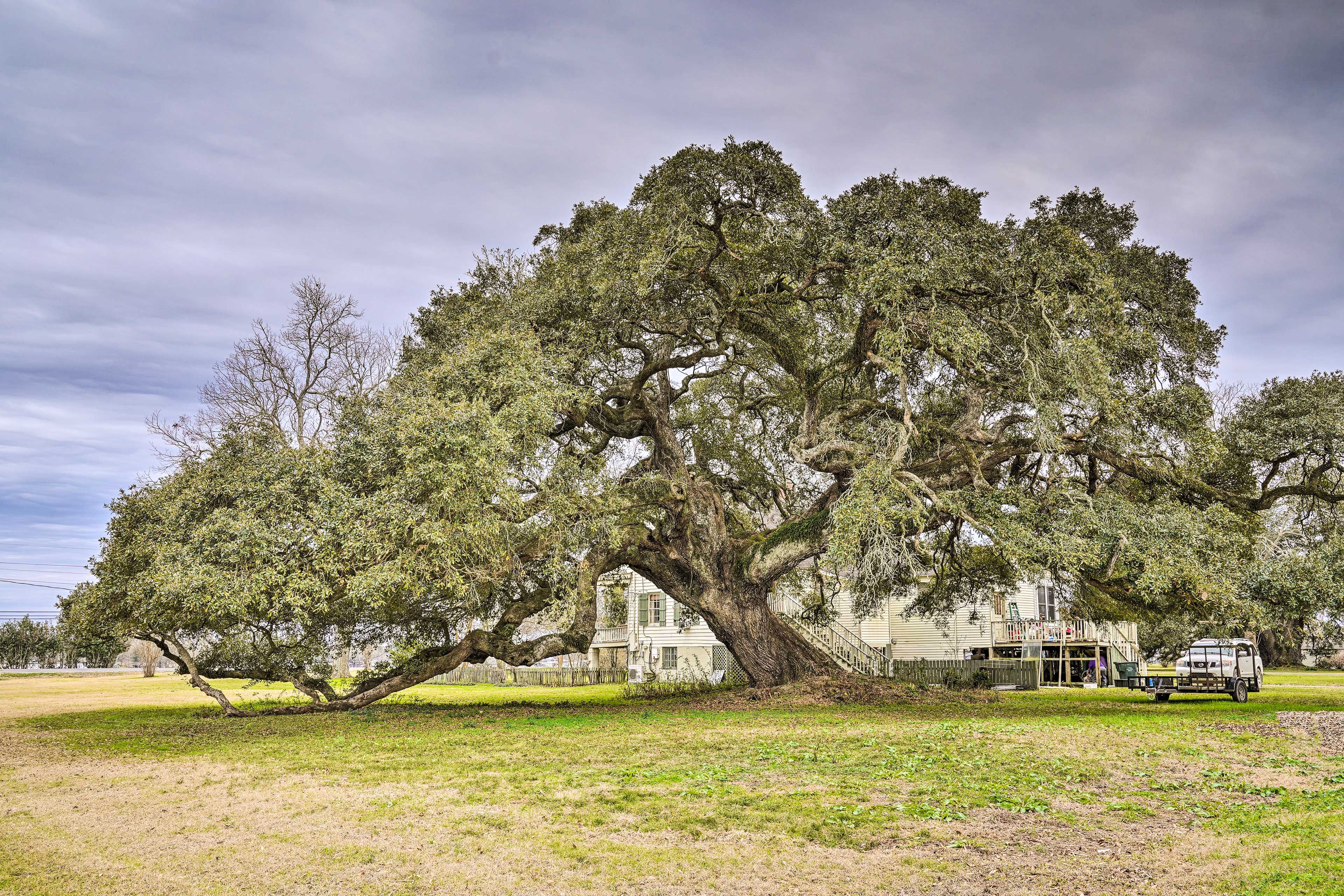 Exterior | Balcony | Charcoal Grill | Pets Welcome w/ Fee