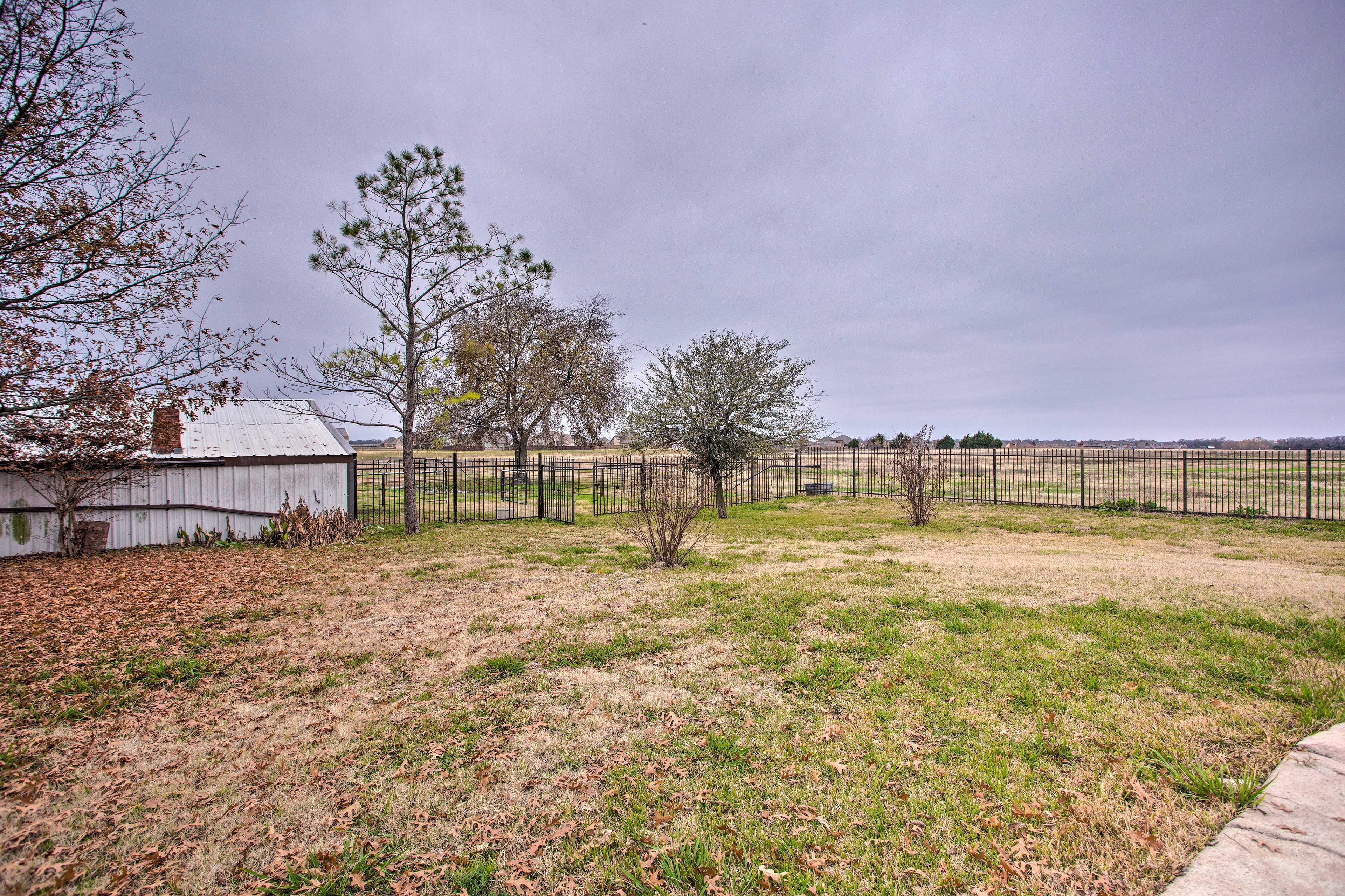 Spacious Yard