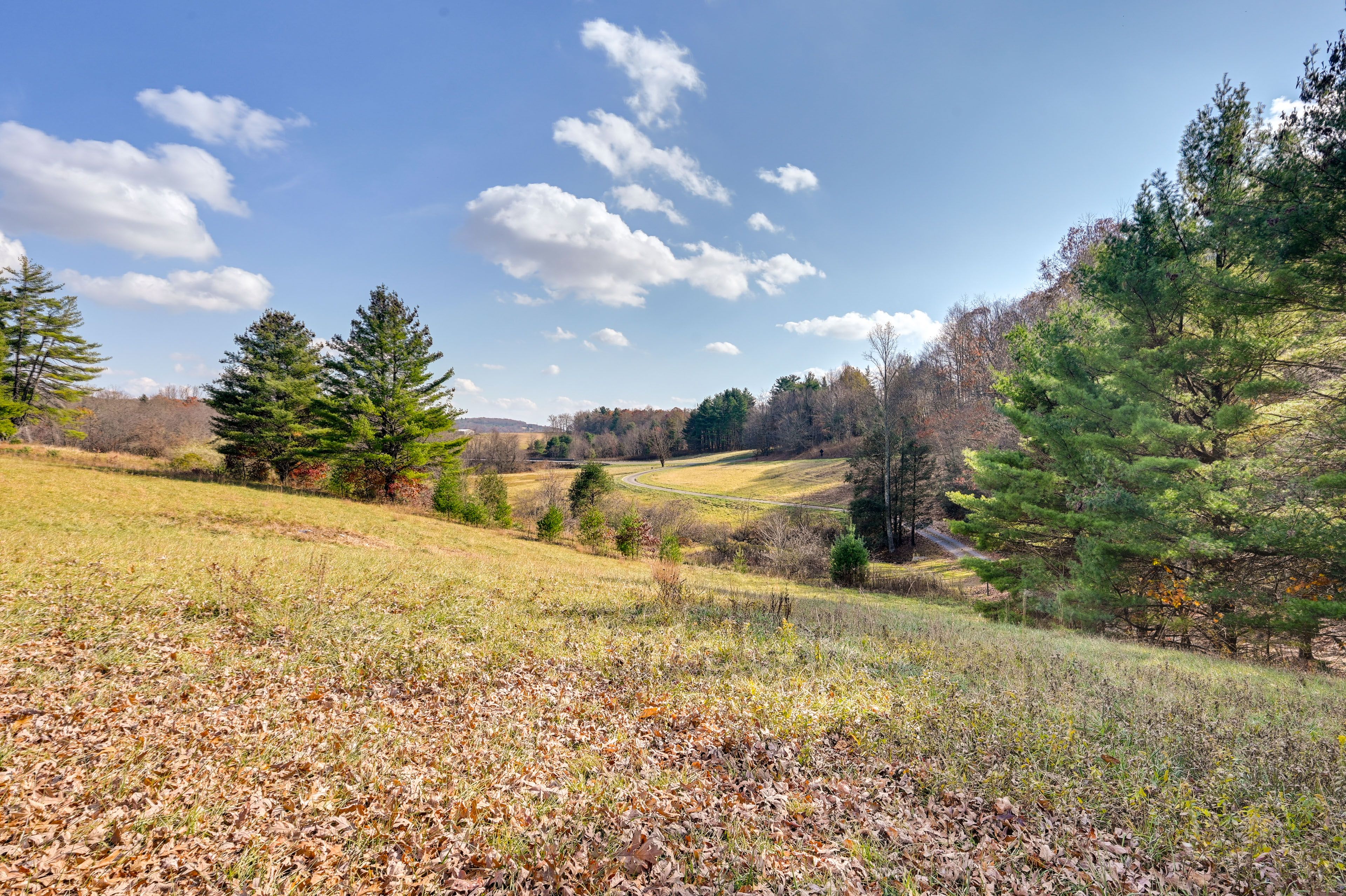 Surrounding Area