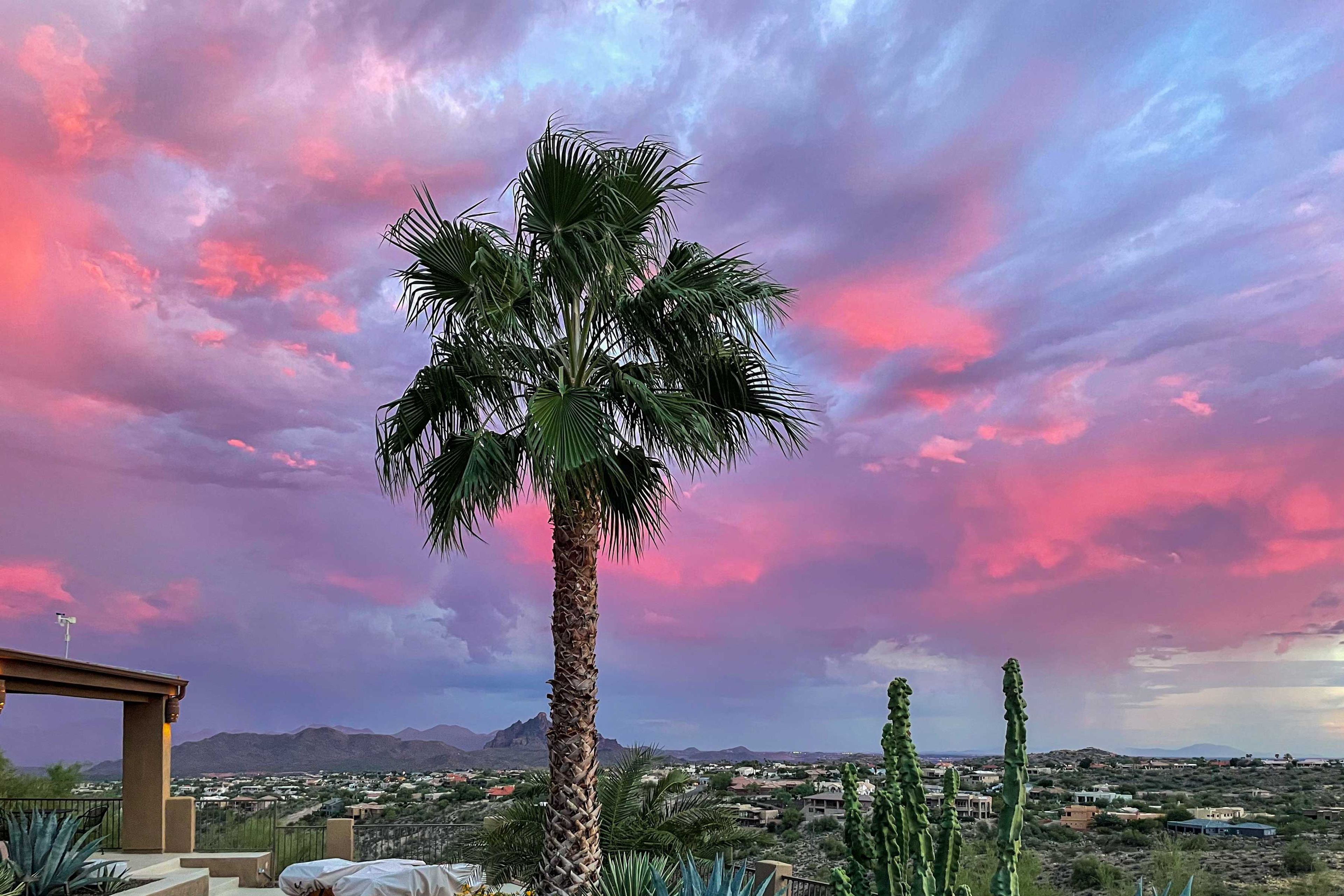 Sunset Views