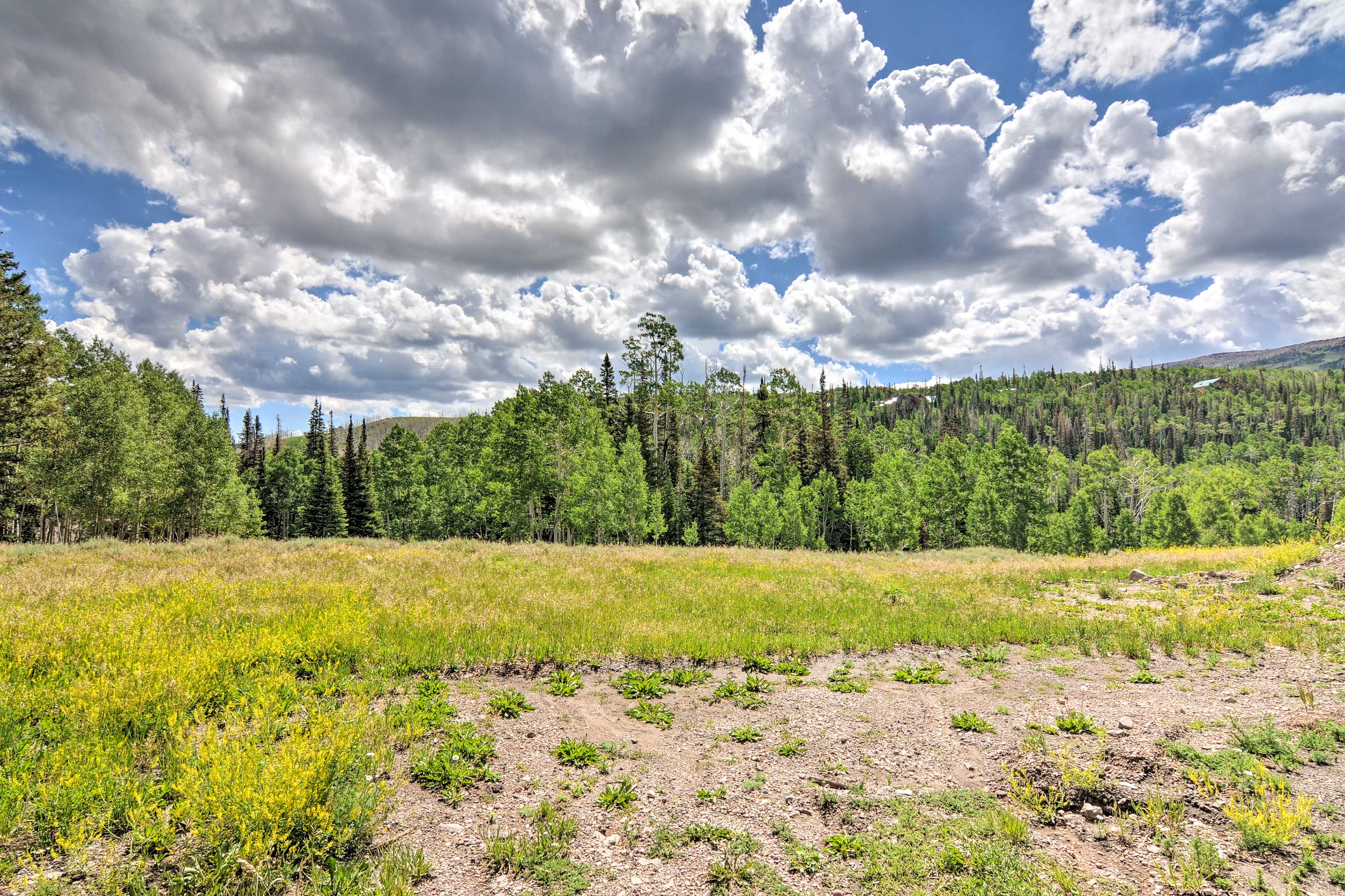 Surrounding Area