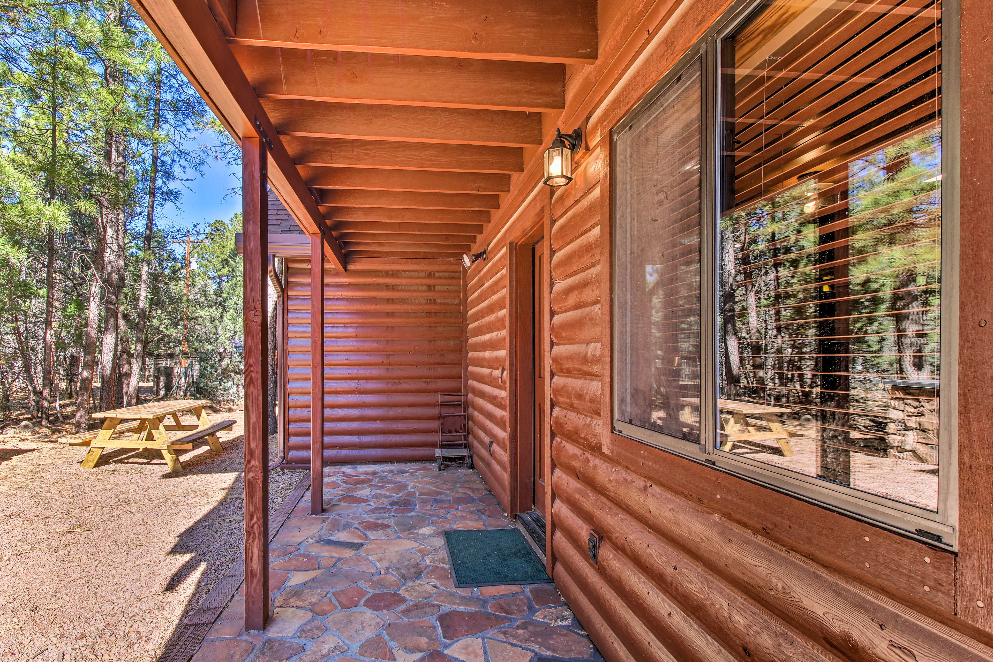 Back Entrance | 3 Exterior Security Cameras (Facing Out)
