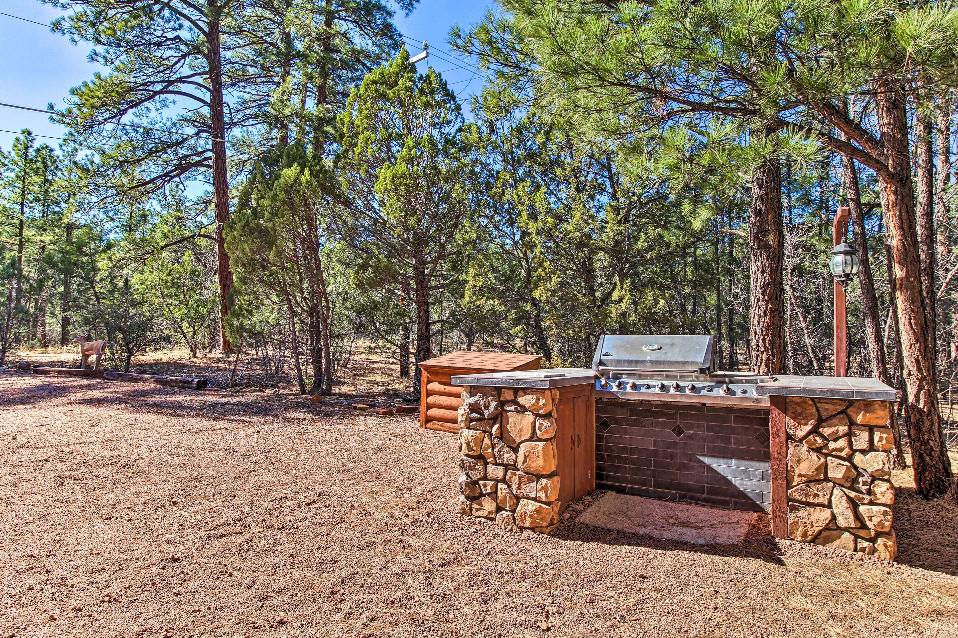 Shared Outdoor Area | Built-In Gas Grill