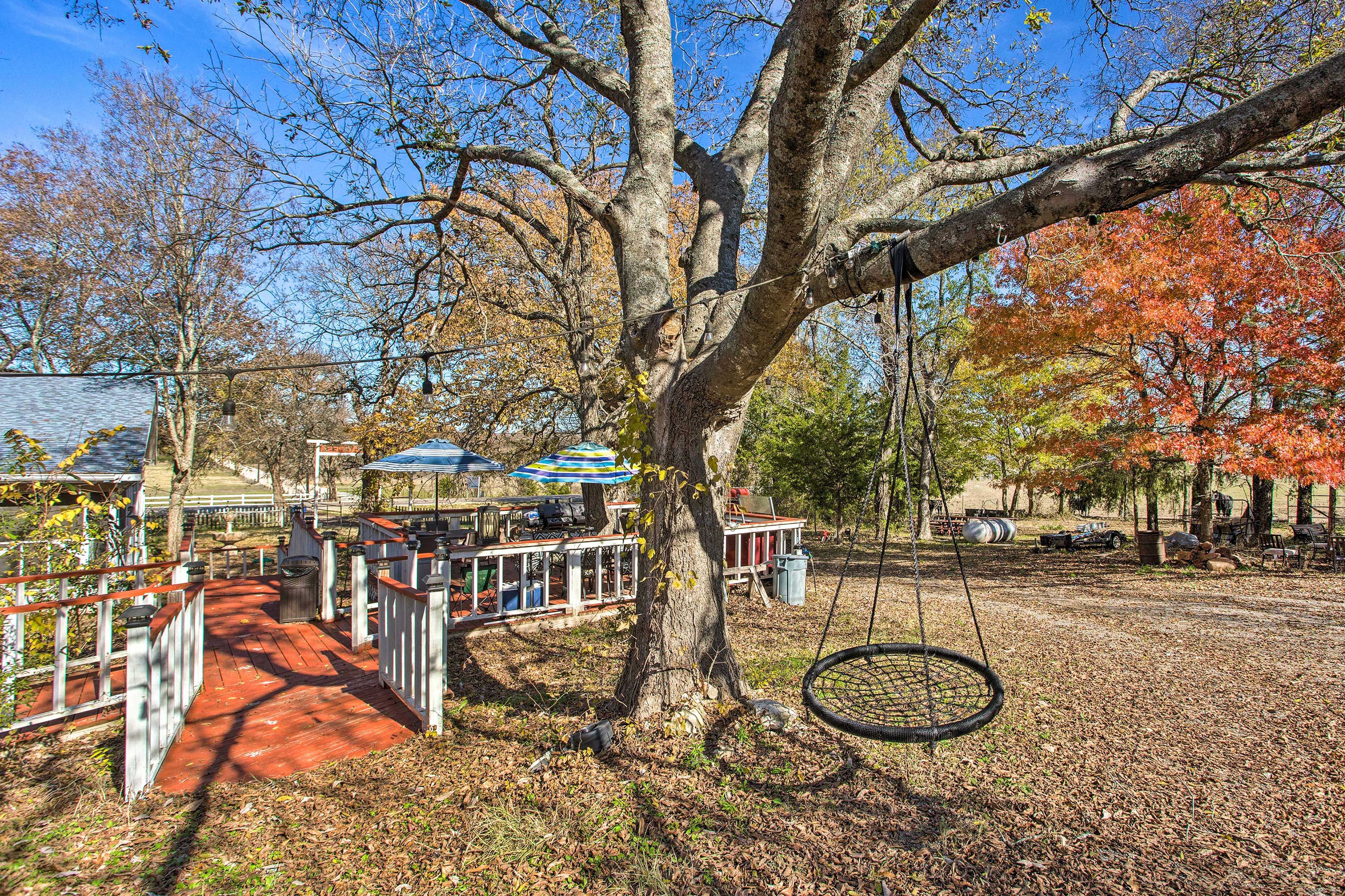 Outdoor Entertainment Area | Deck | Tree Swing | Hammock | Horseshoes