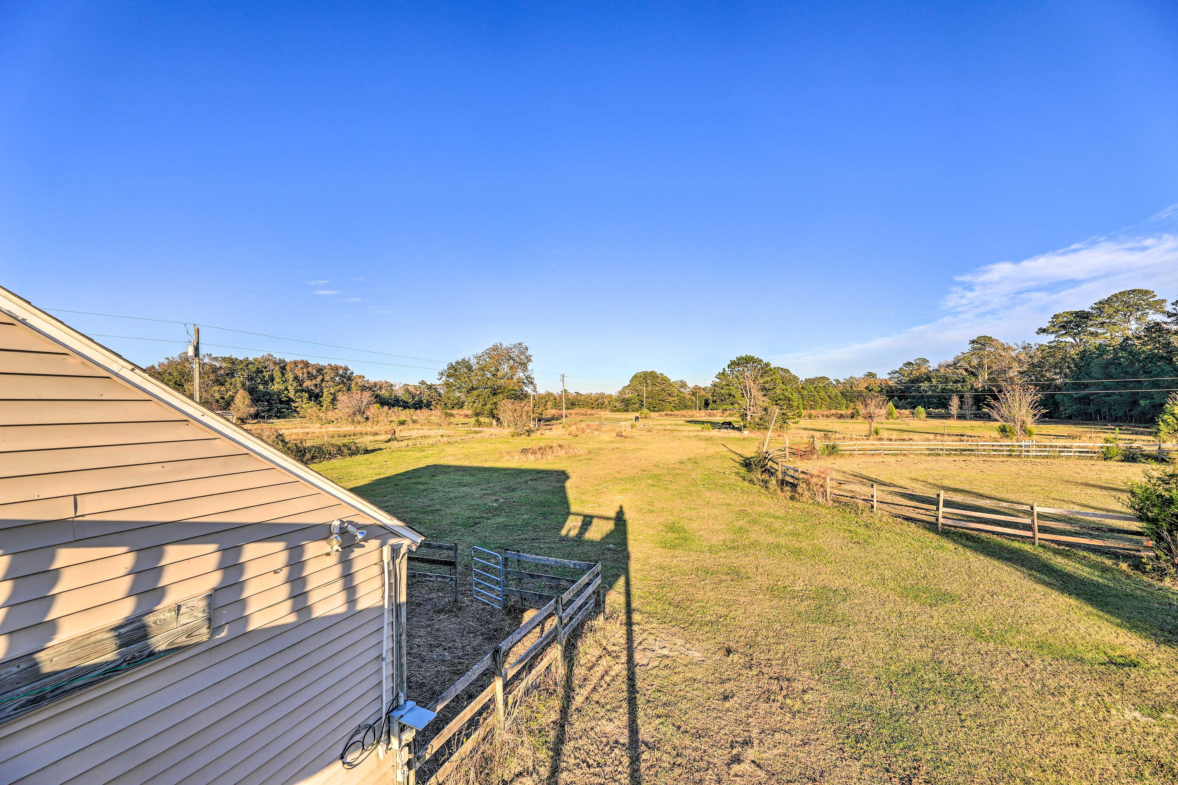 Farm Views