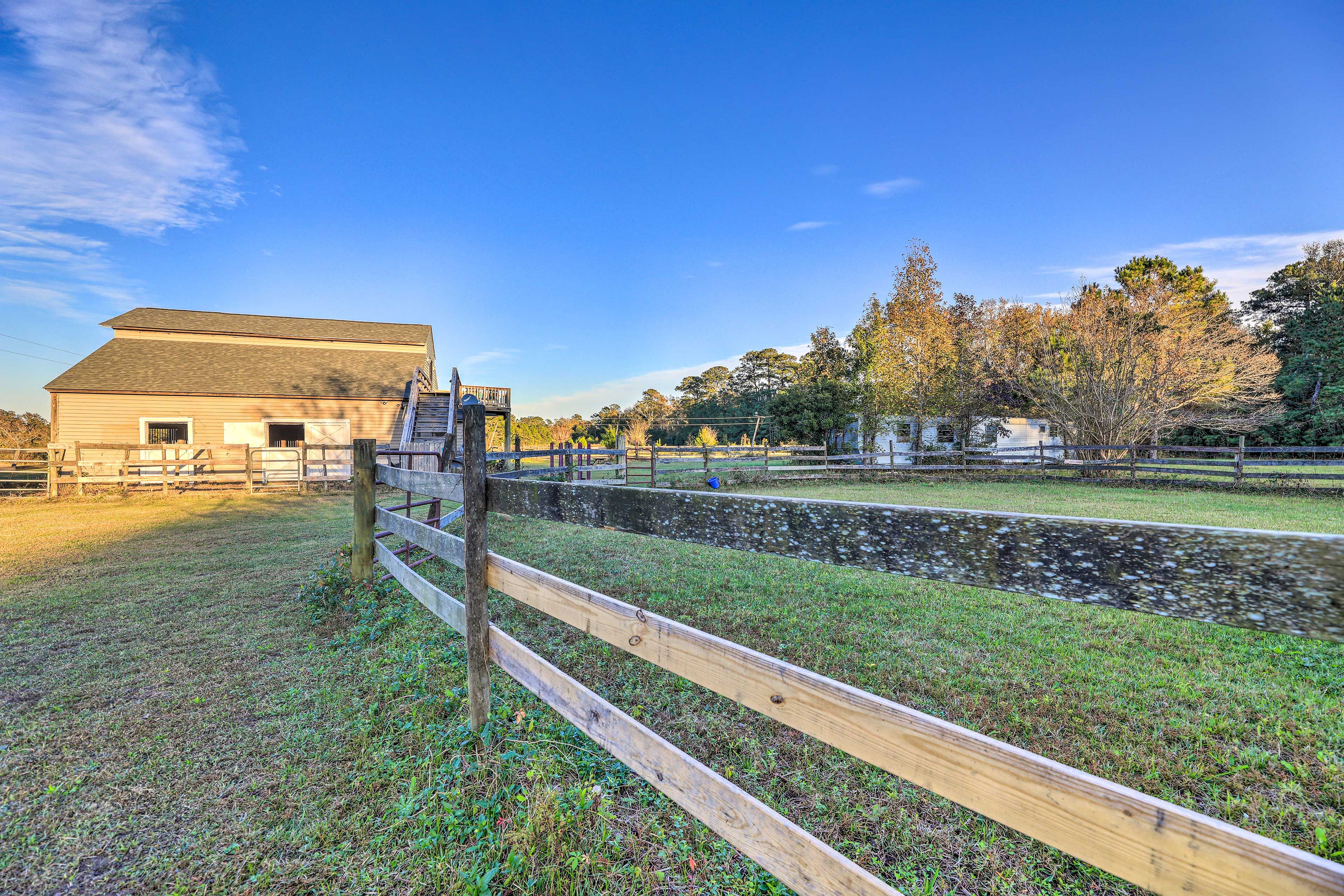 Horse Pen
