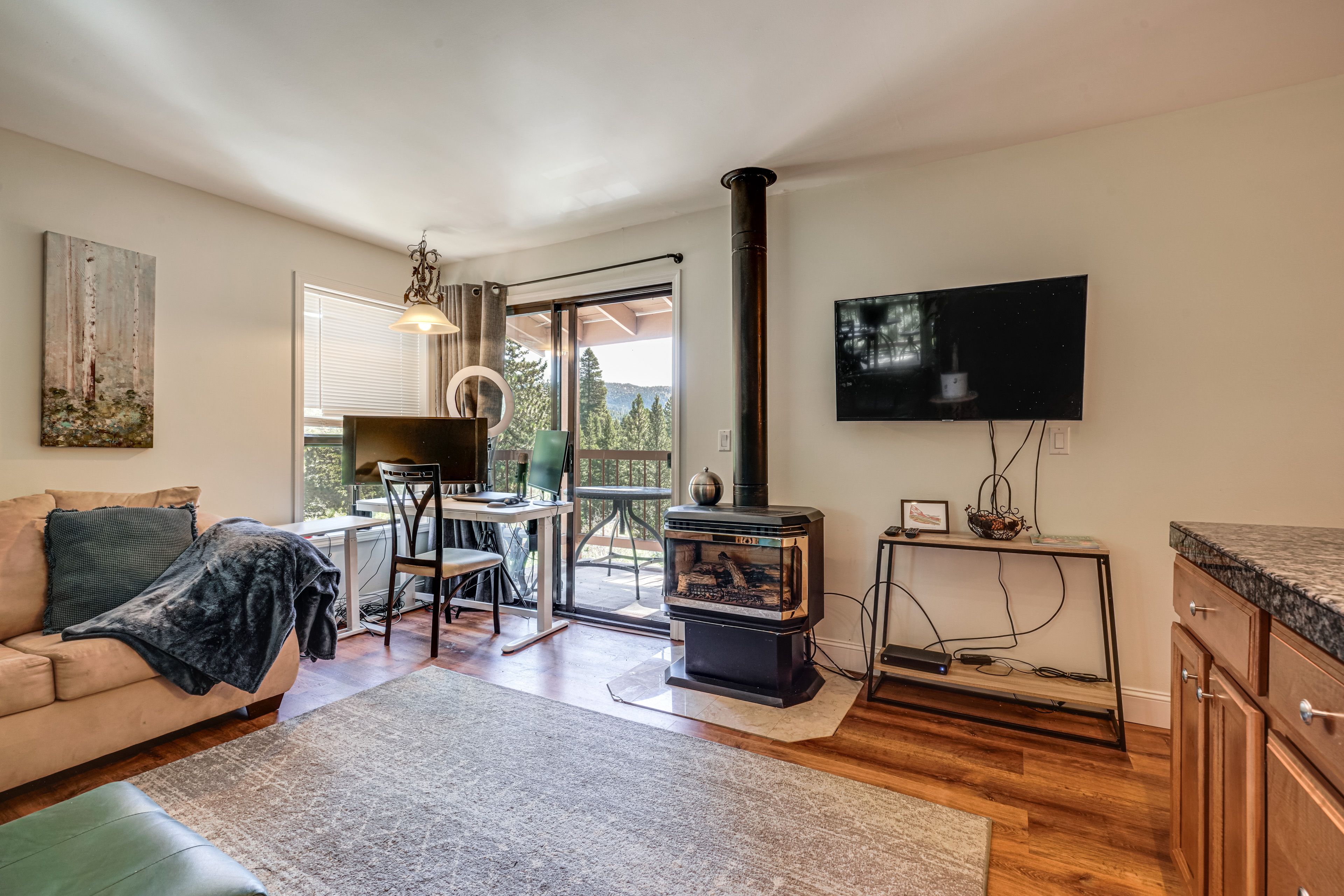 Living Room | Full Sleeper Sofa | Access to Balcony