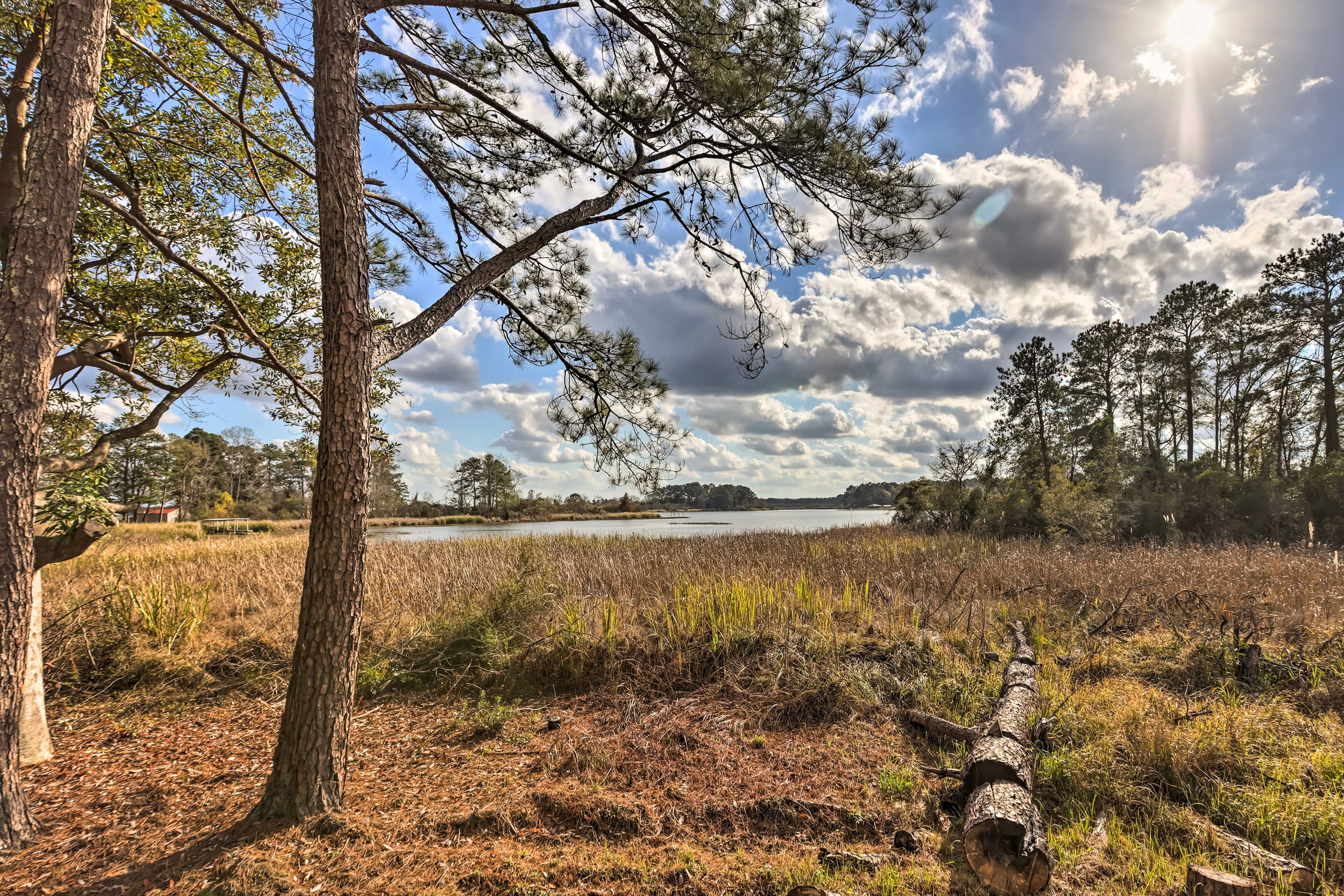 Lake Views