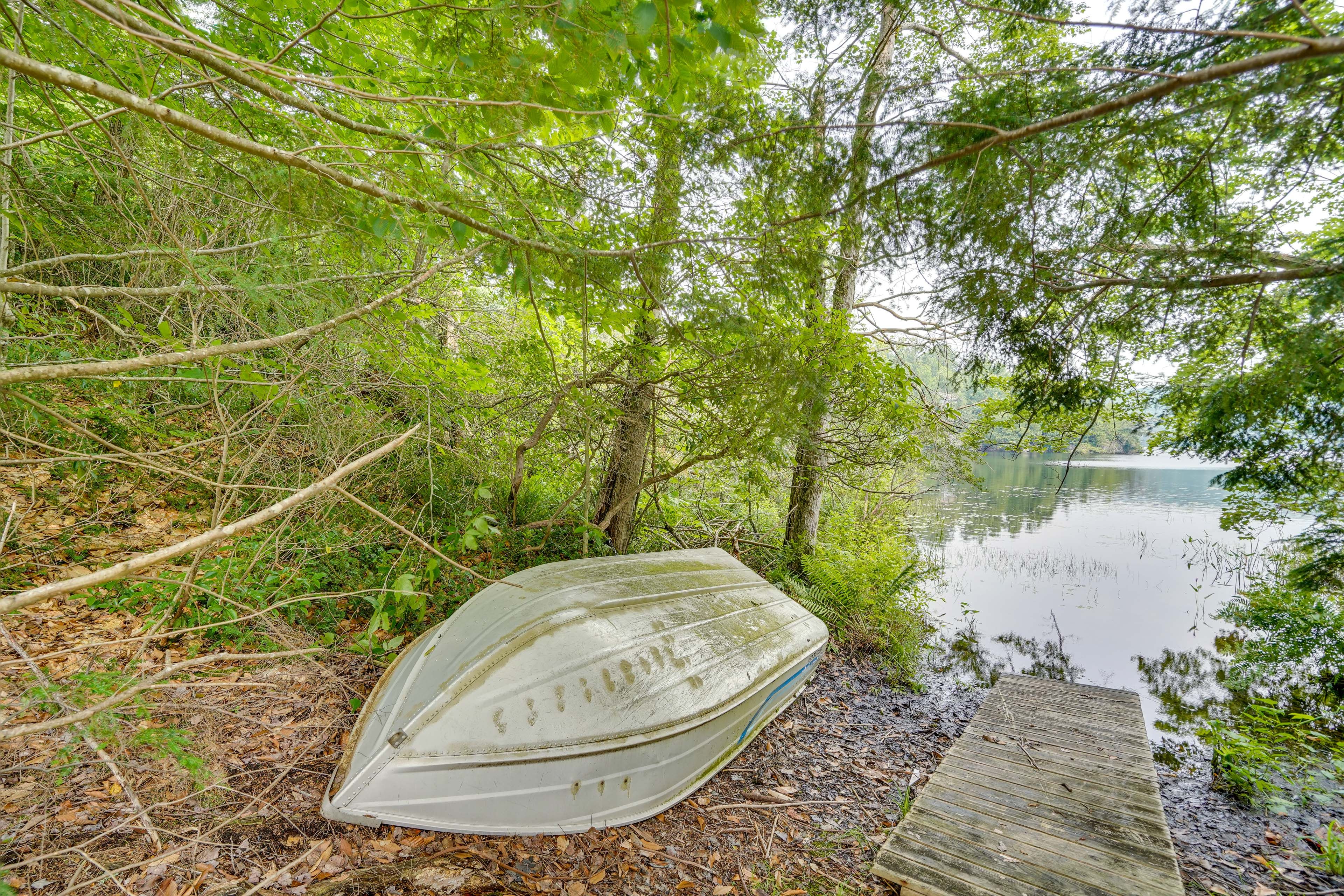 Hayes Pond Across Street | Rowboat Provided | Bicycle Provided | Nearby Fishing