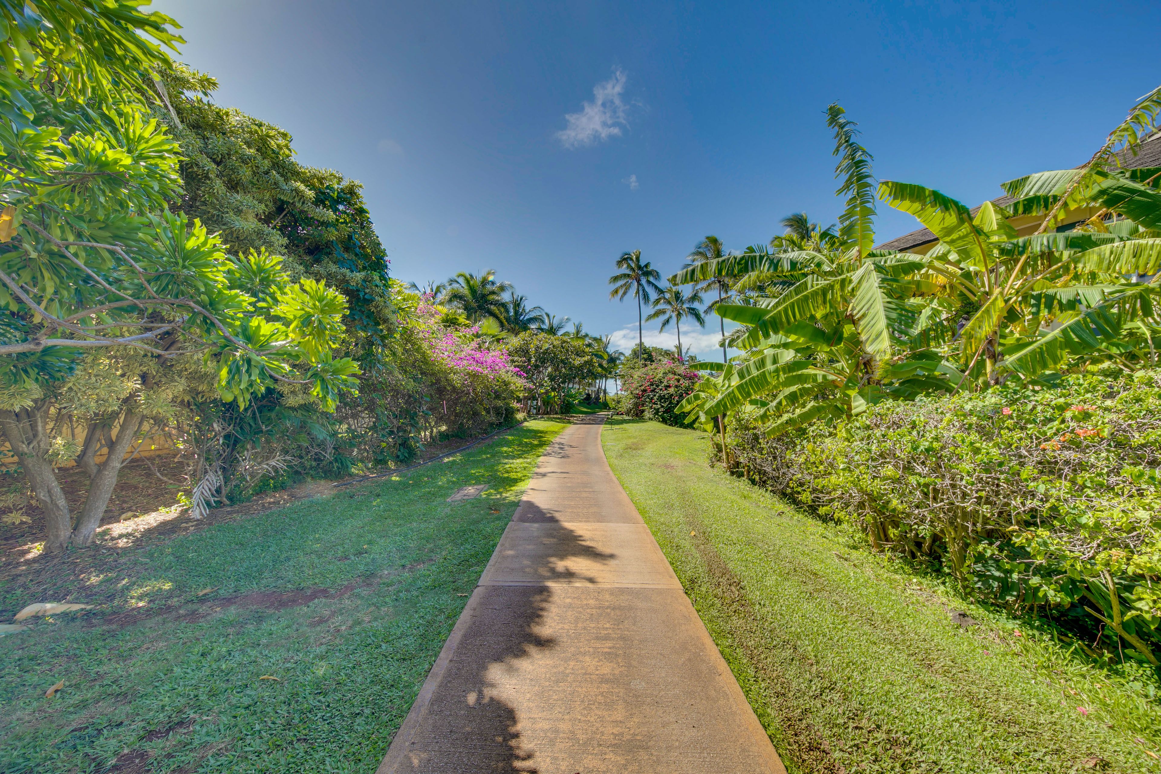 Walking Path to Community Amenities