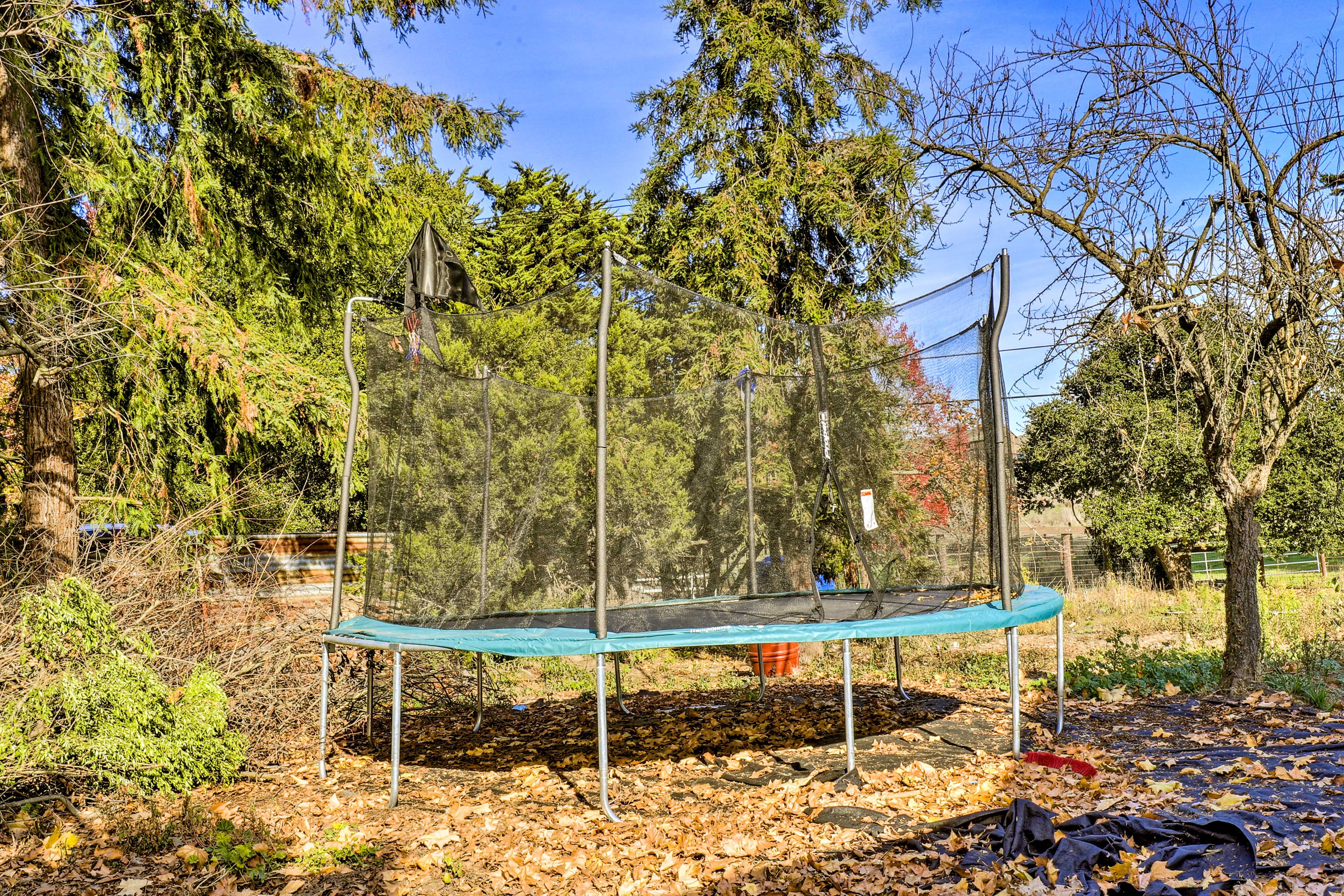 Trampoline