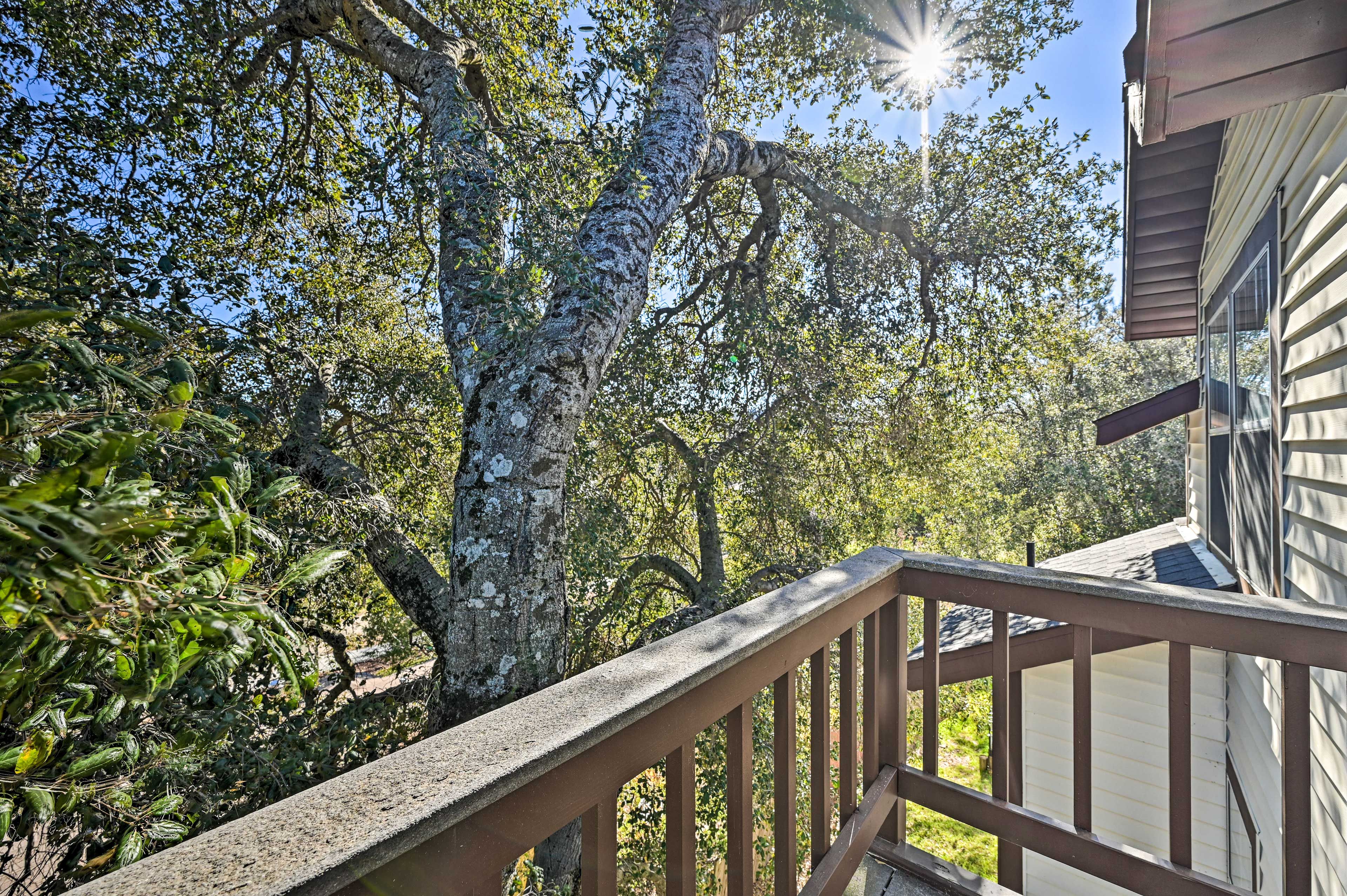 Balcony | Wooded View
