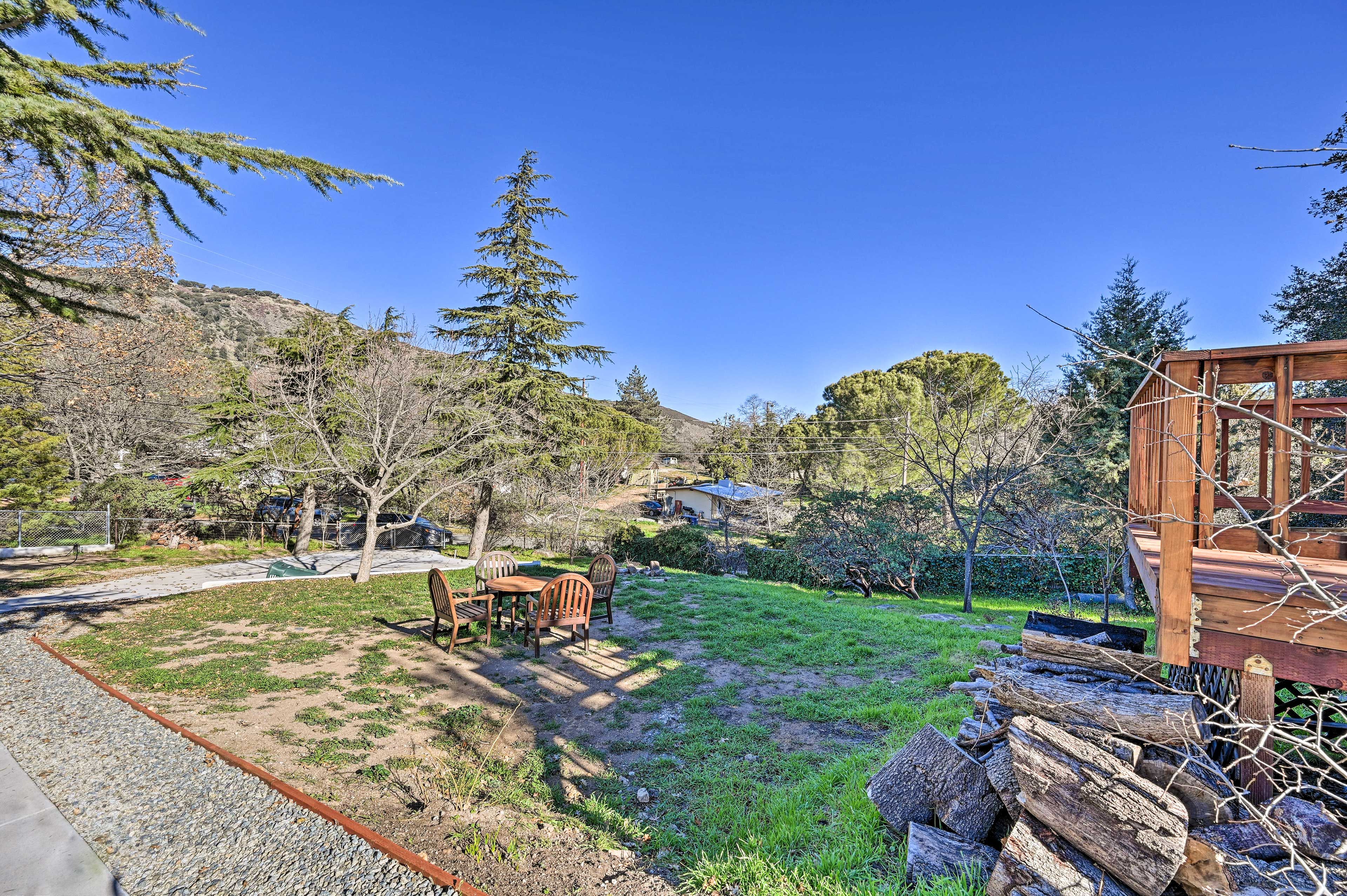 Fenced & Gated Backyard