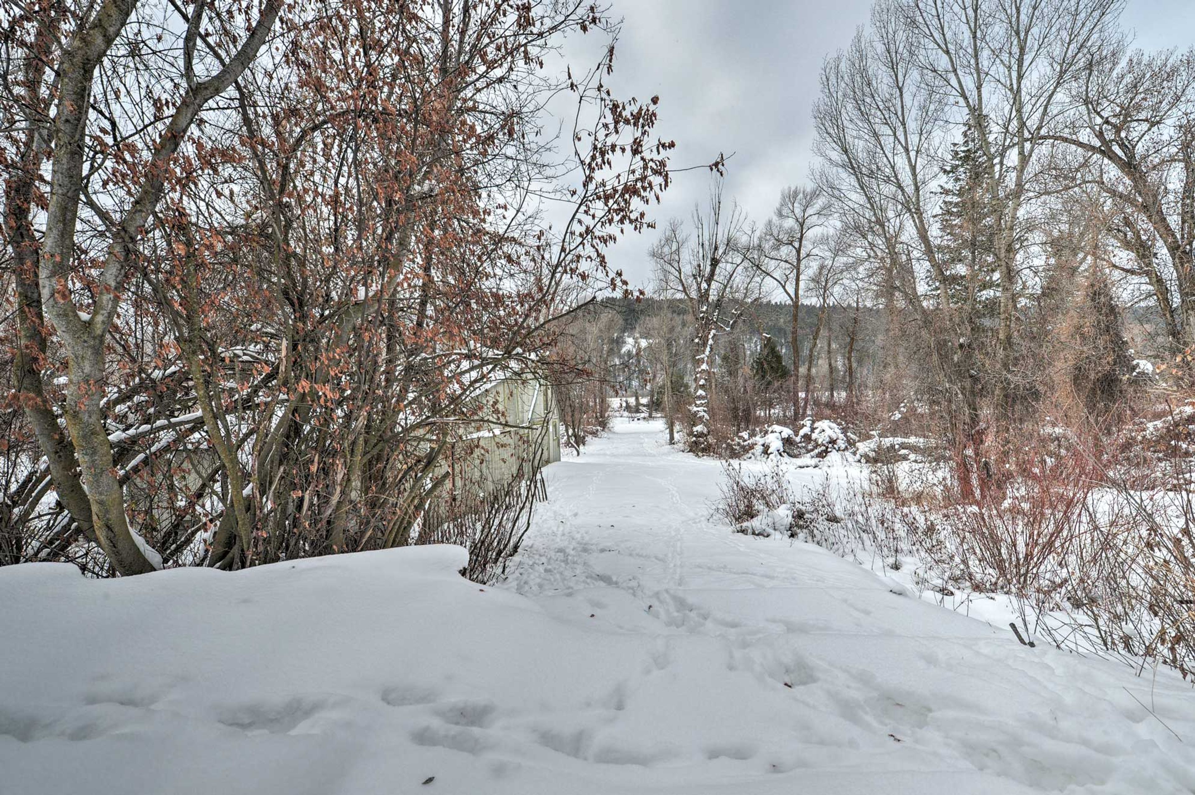 Path to Lake