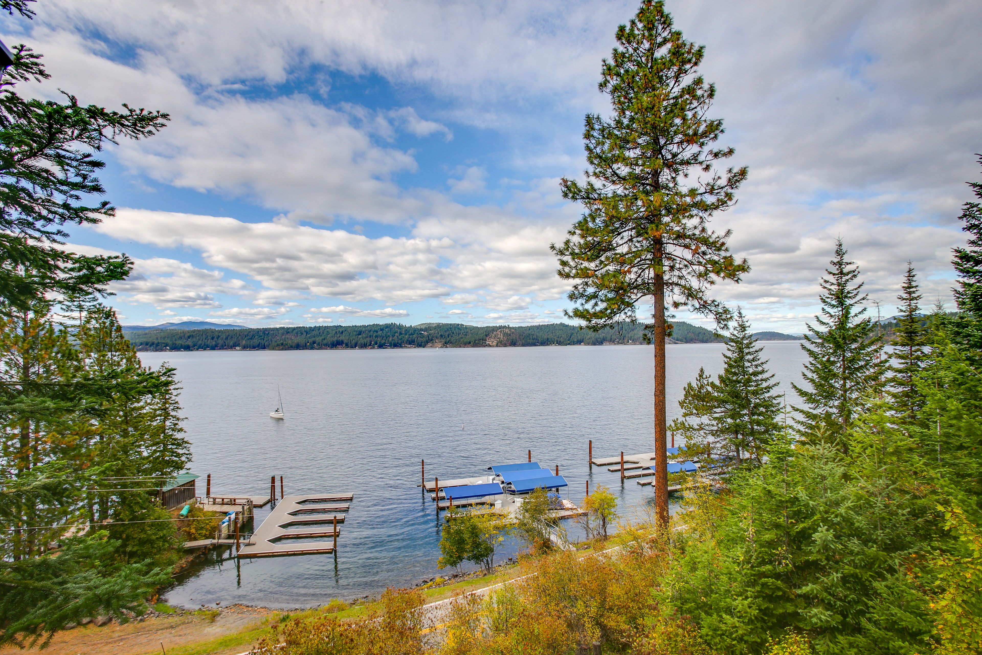 View From Deck