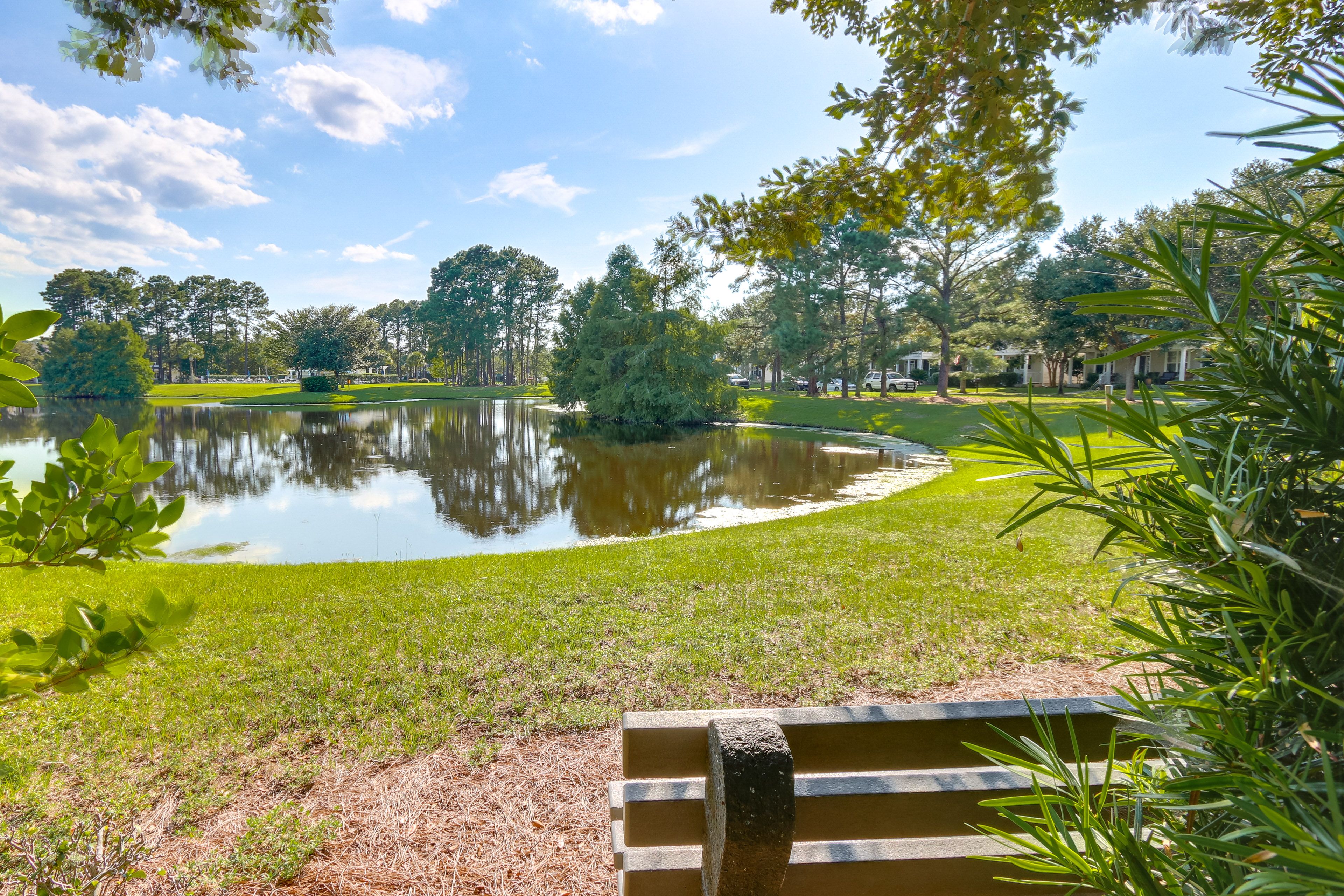 Neighborhood Pond