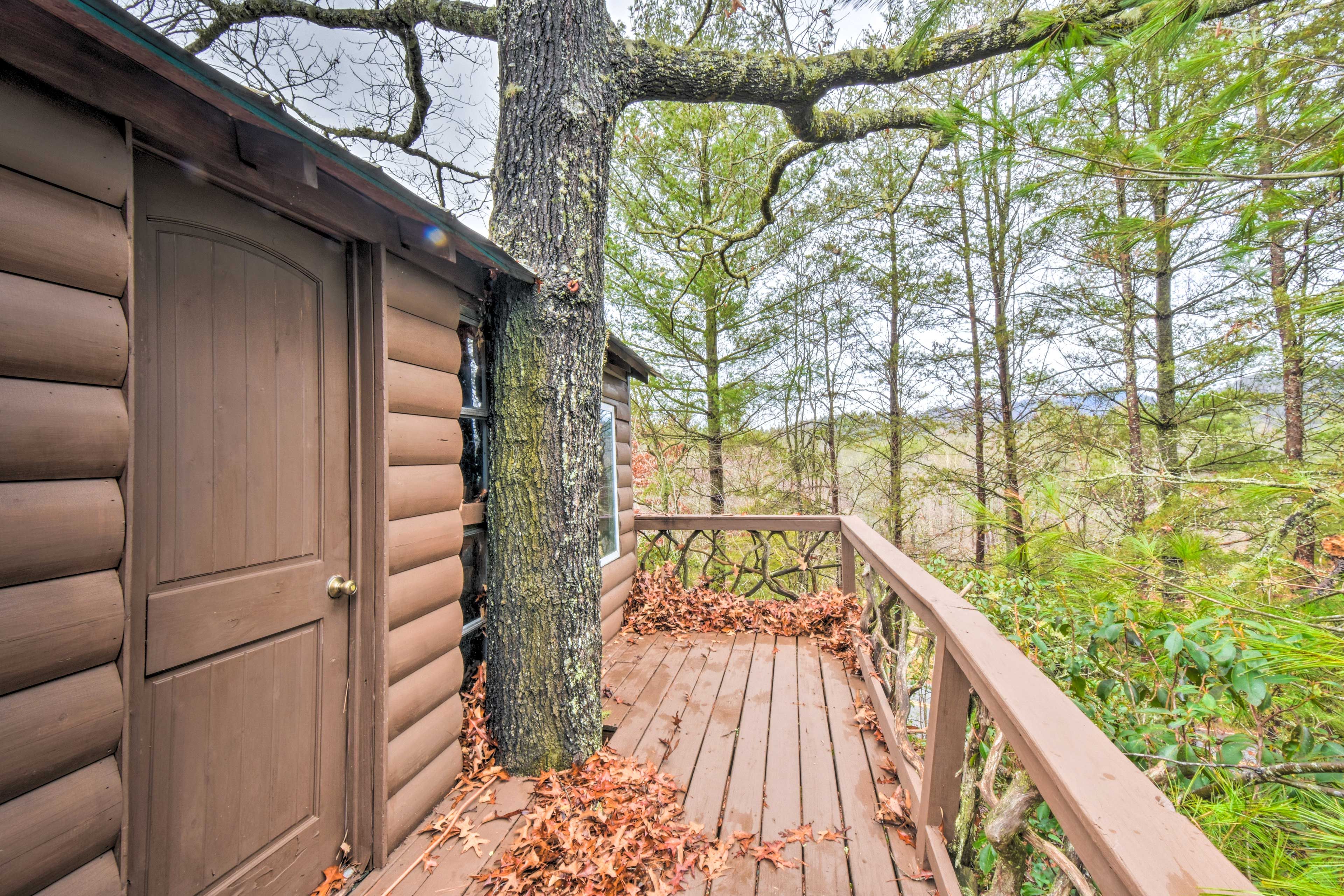 Exterior of Tree House | Mountain Views