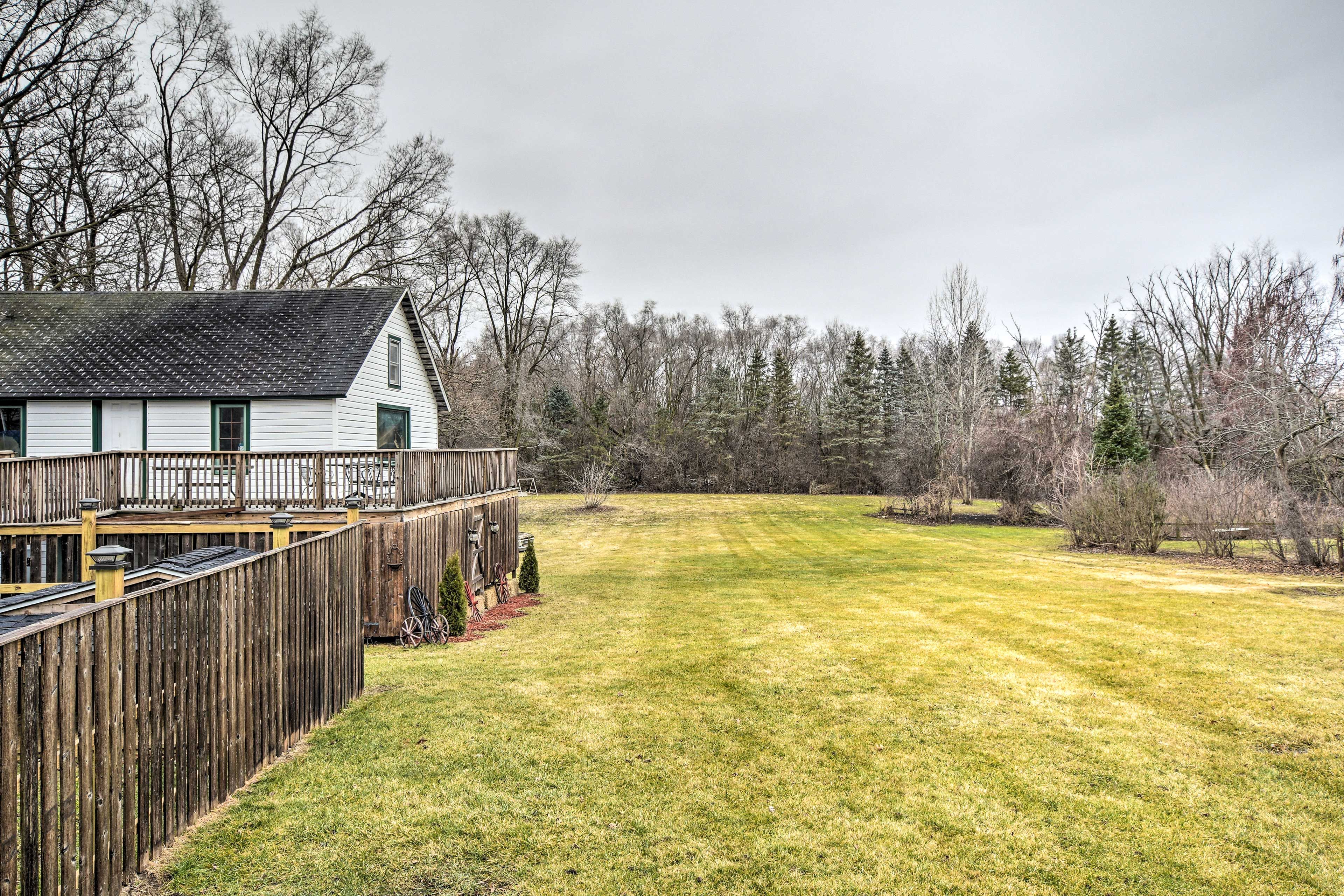 Backyard