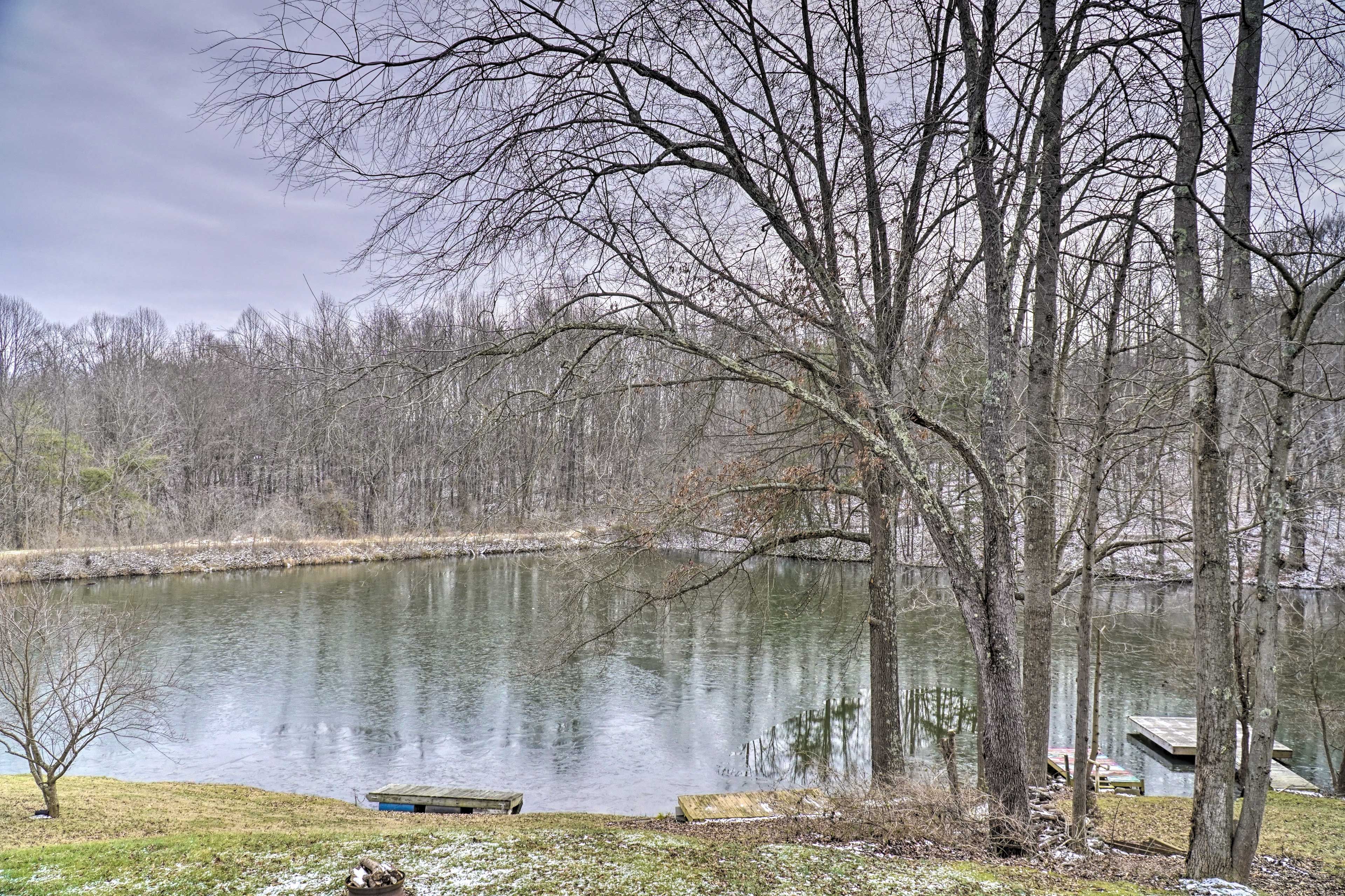 Pond View