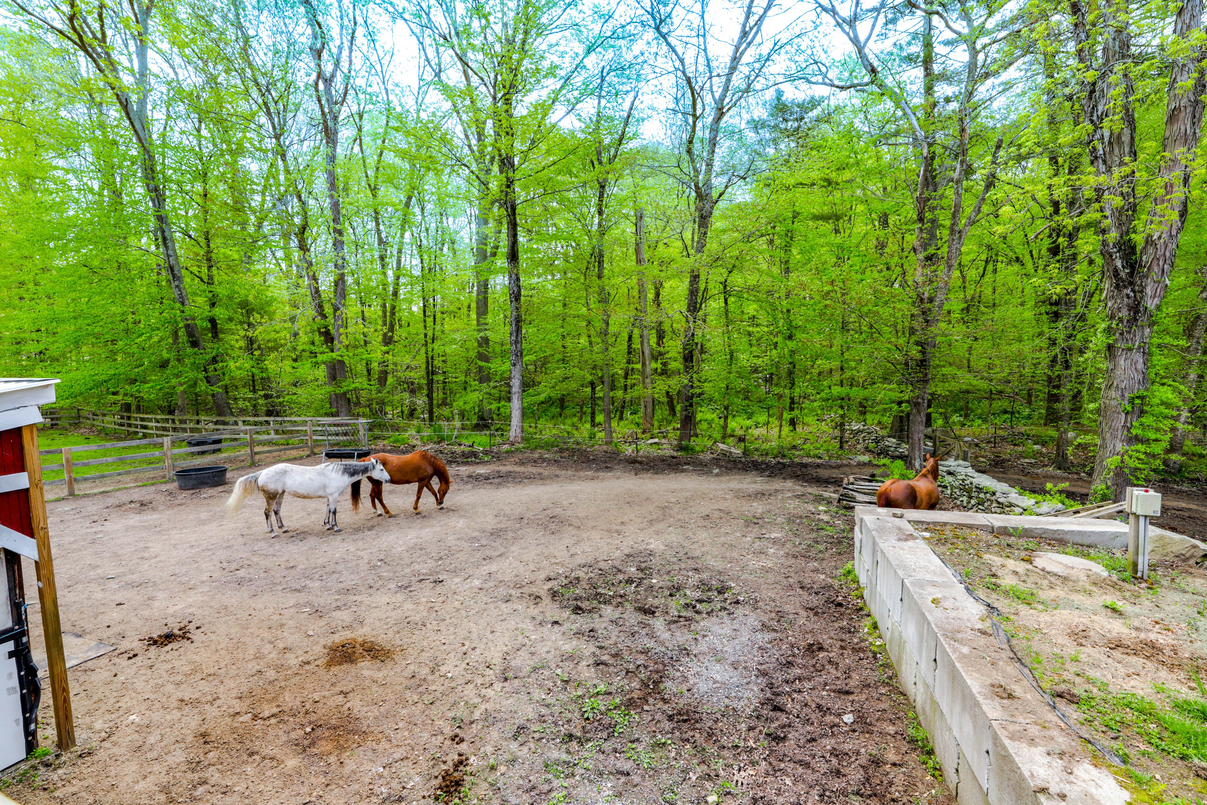 Horse Pasture
