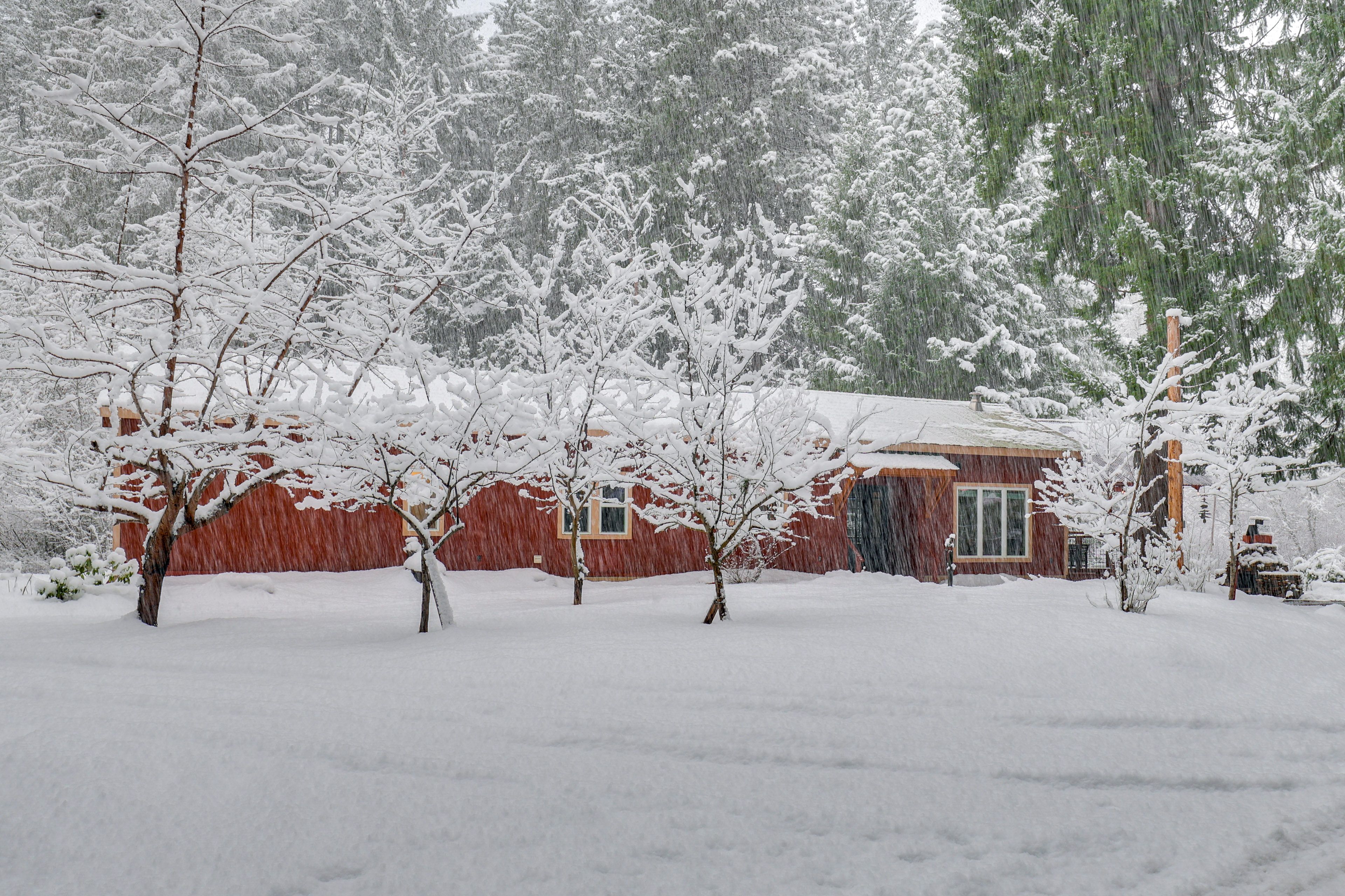 Parking | Driveway (6 Vehicles)