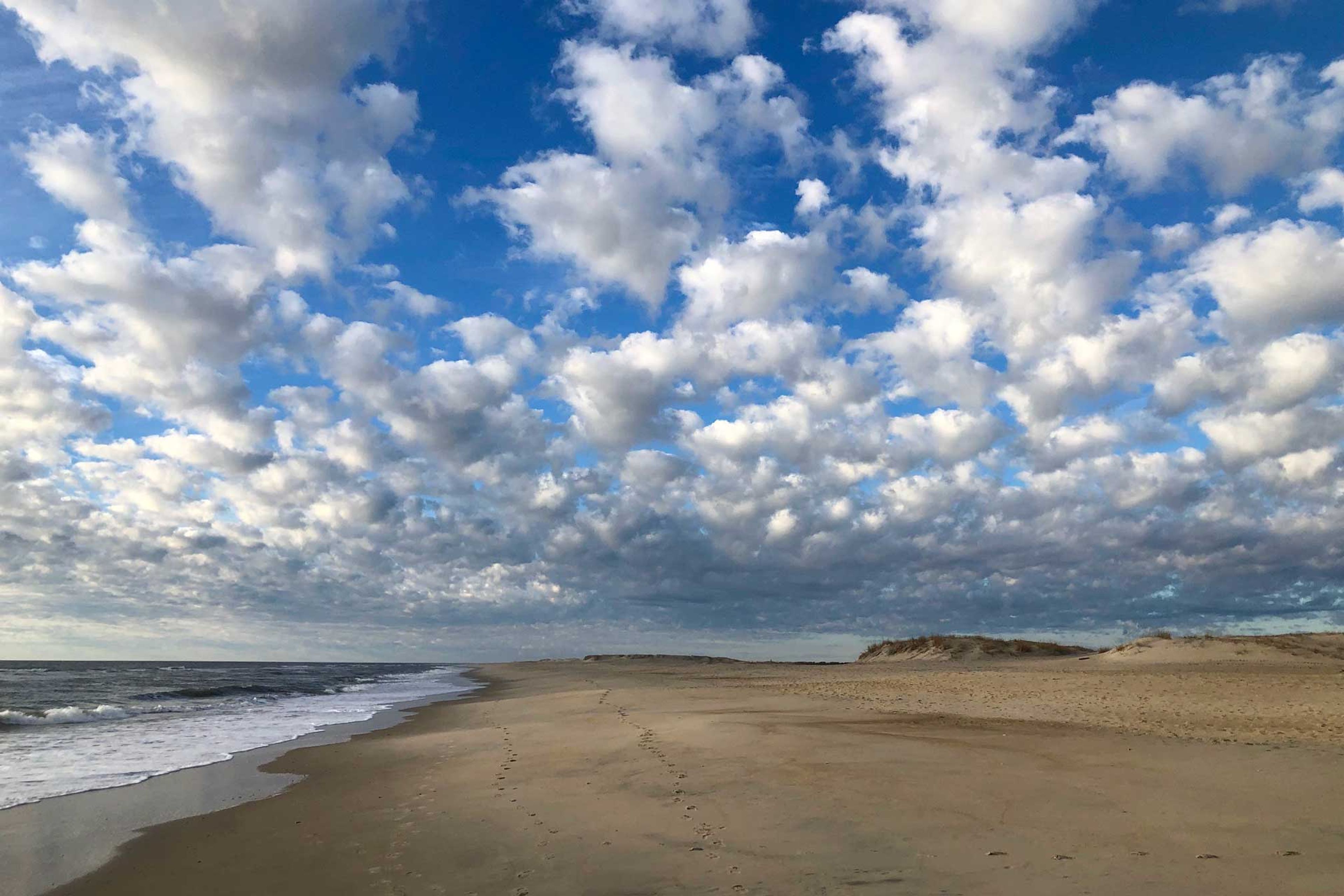 Beach Views